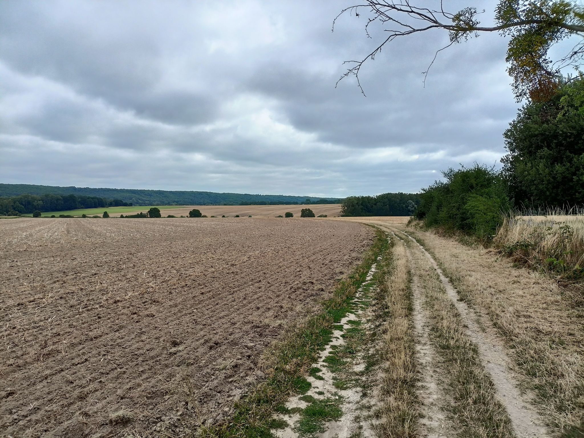 Chemin à travers champs