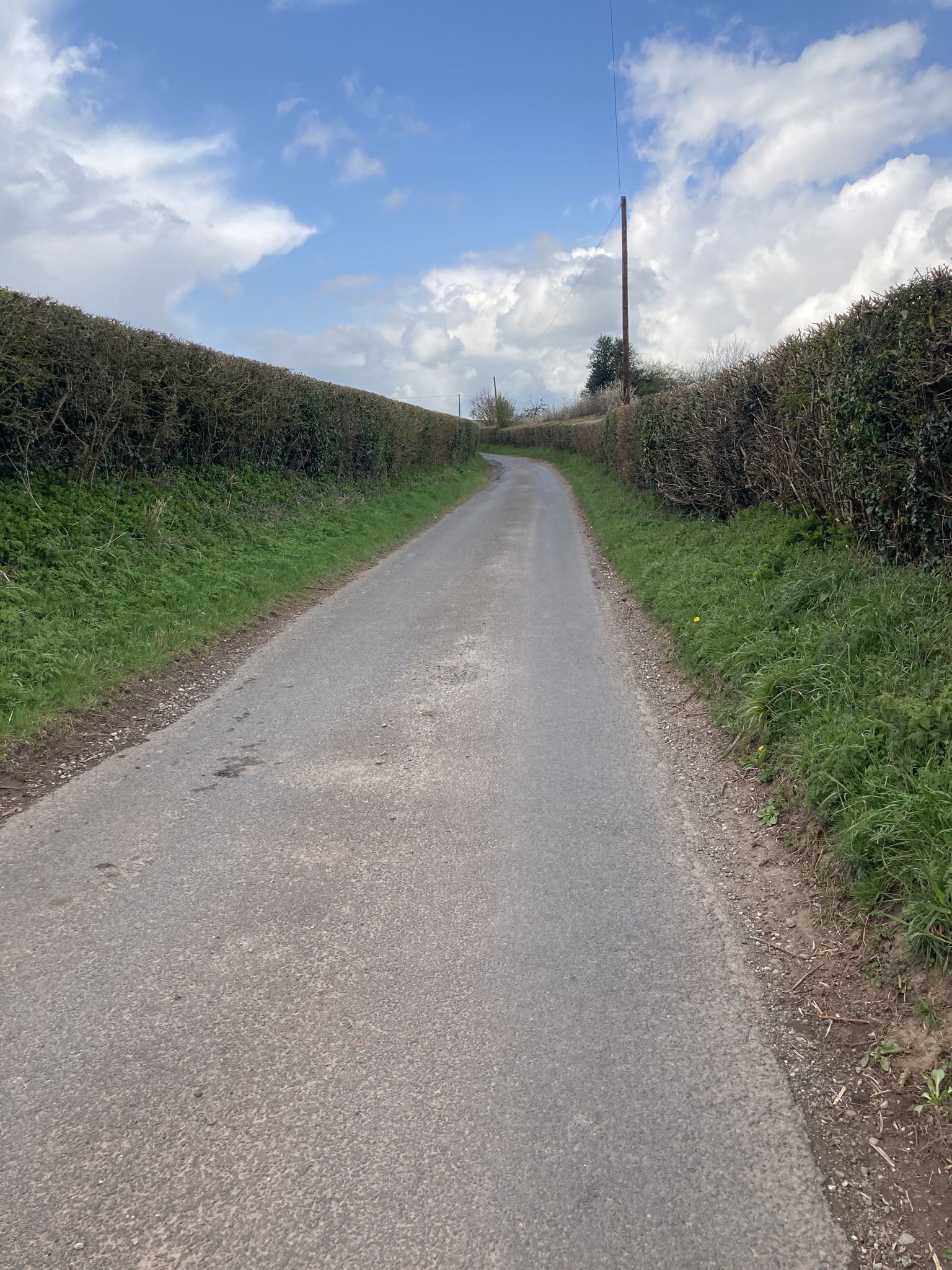 Buck hazels Lane a nice quiet country Lane