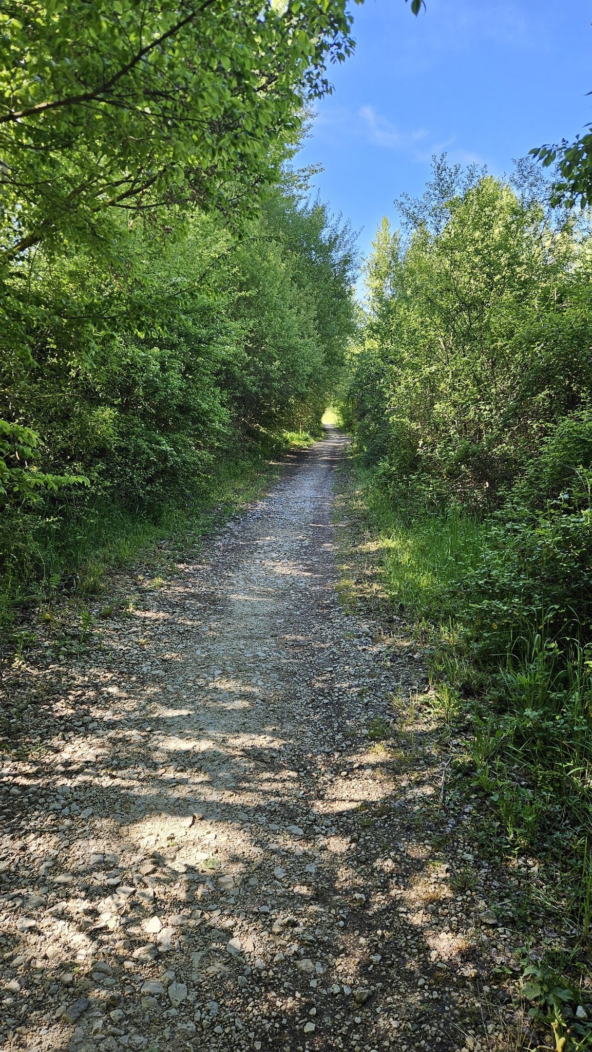pasaje vía verde camino del tunel