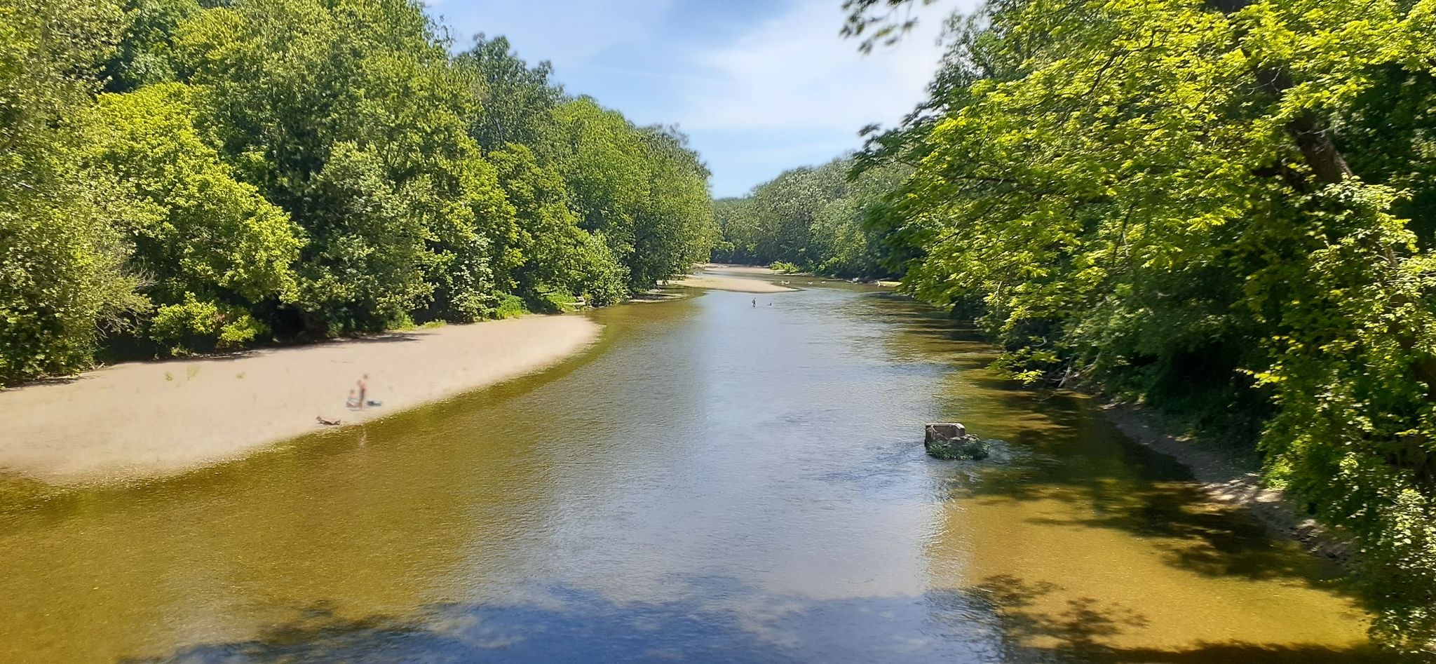 A wide river flows between lush green forested banks under a sunny sky. - Turkey Run Trails 3, 10, 9, and 5 Loop