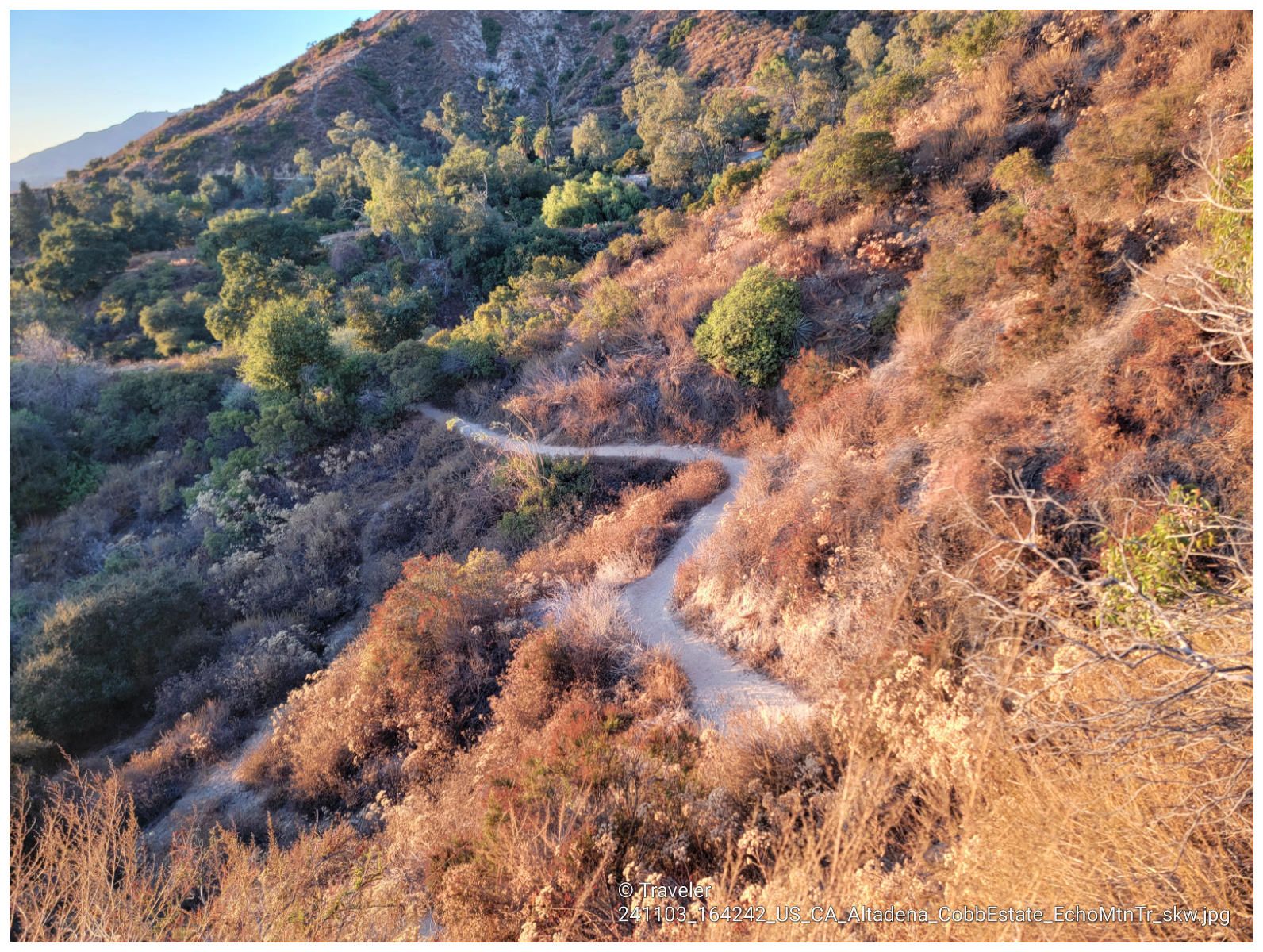 Winding dirt trail on a brush-covered hillside in warm sunlight. - Inspiration Point loop from Altadena