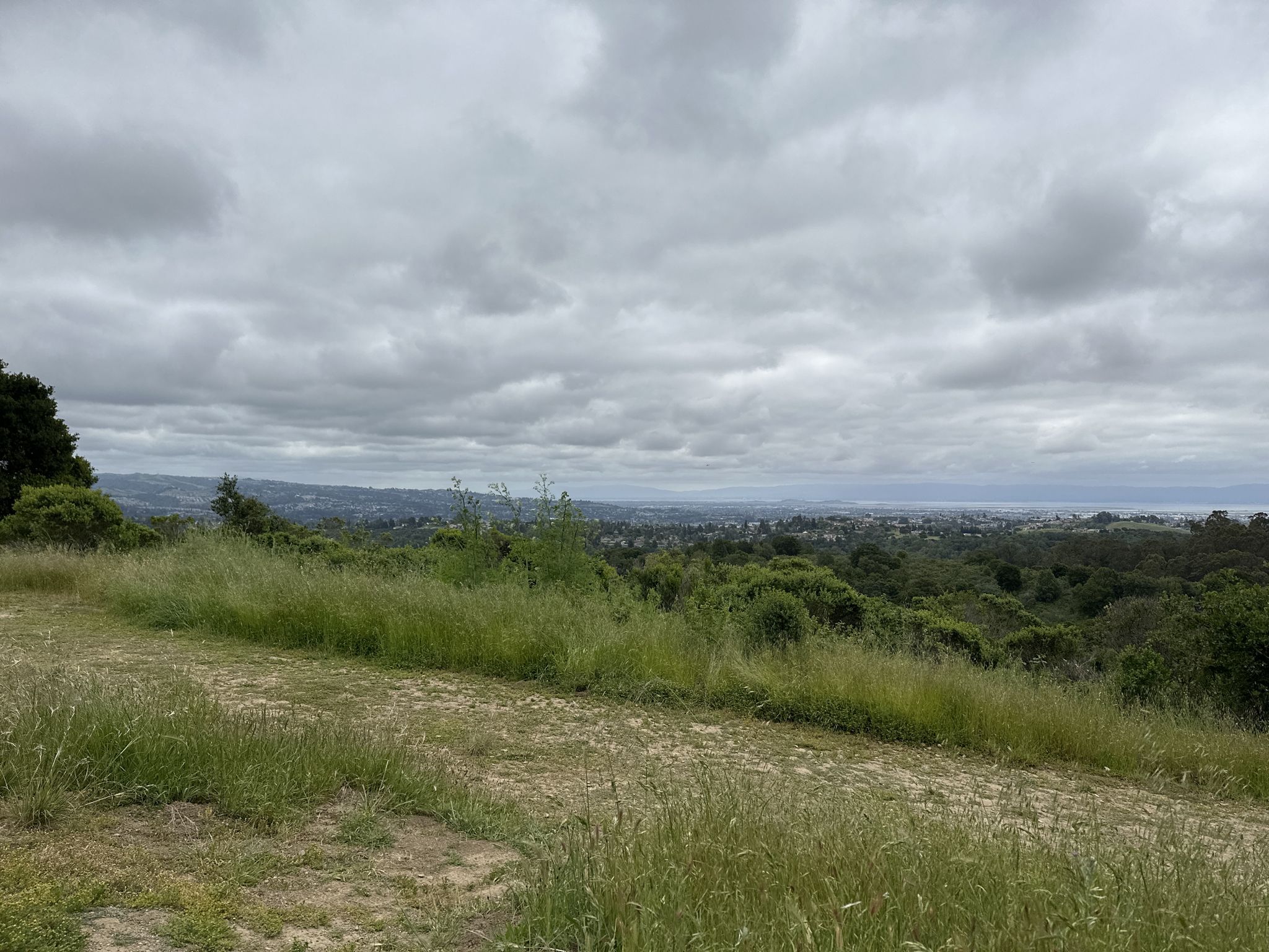 Overcast view from a grassy hill overlooking a distant landscape. - Brandon Trail – Brandon Trail loop from Chabot Staging Area