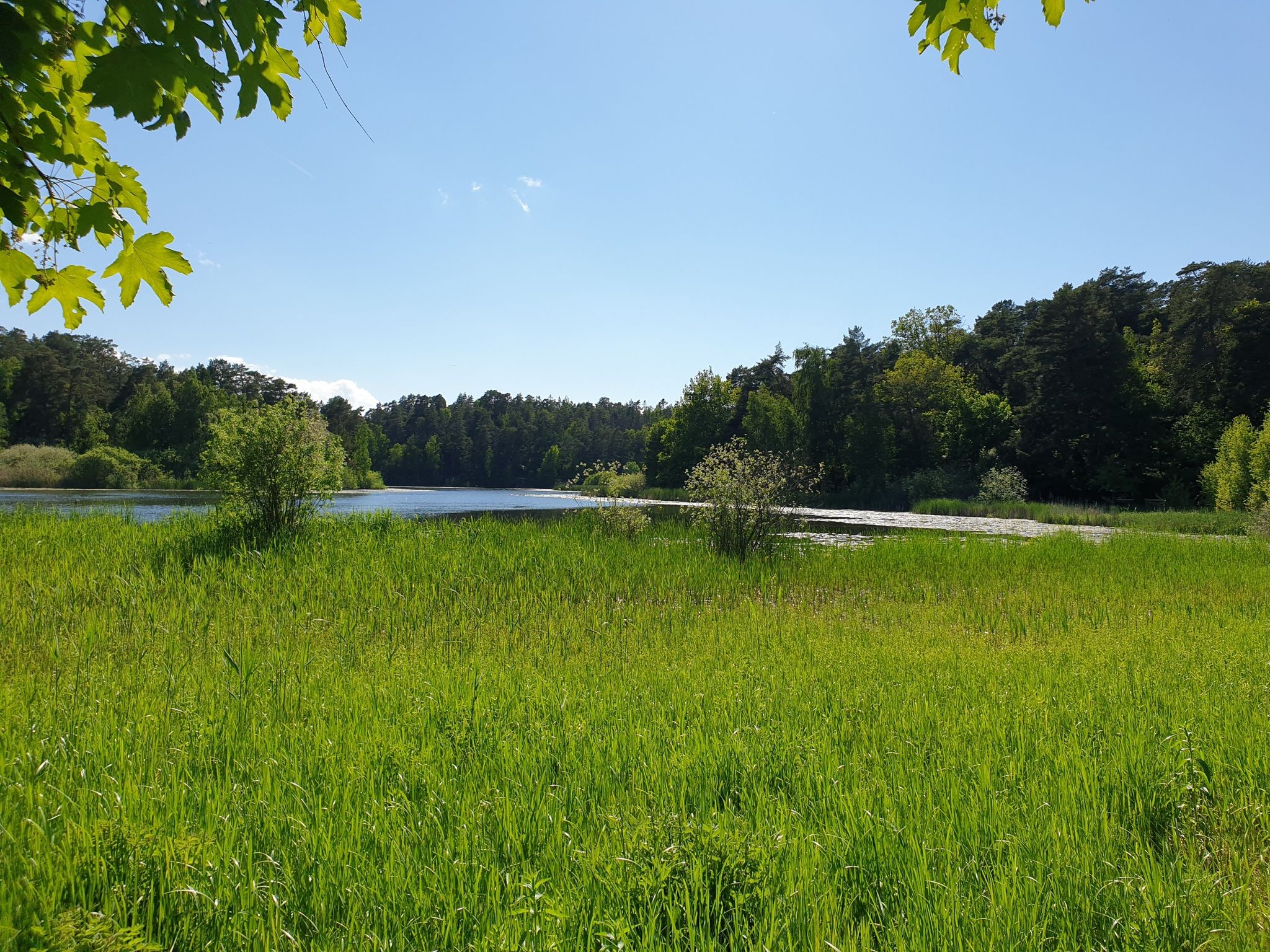 Råckstaträsk