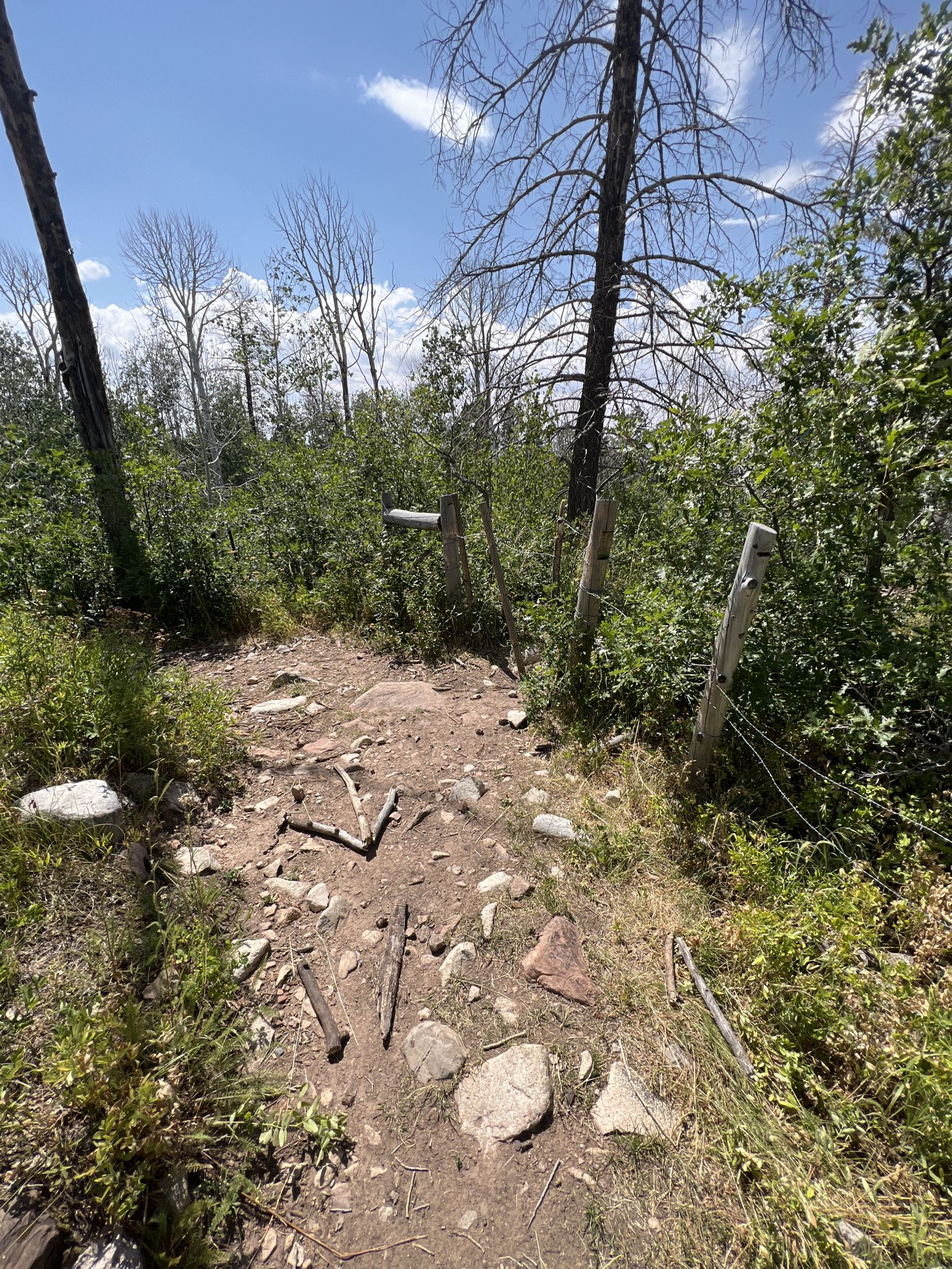 A rocky dirt path leads through a broken wooden fence under a bright sky. - Brumley Arch