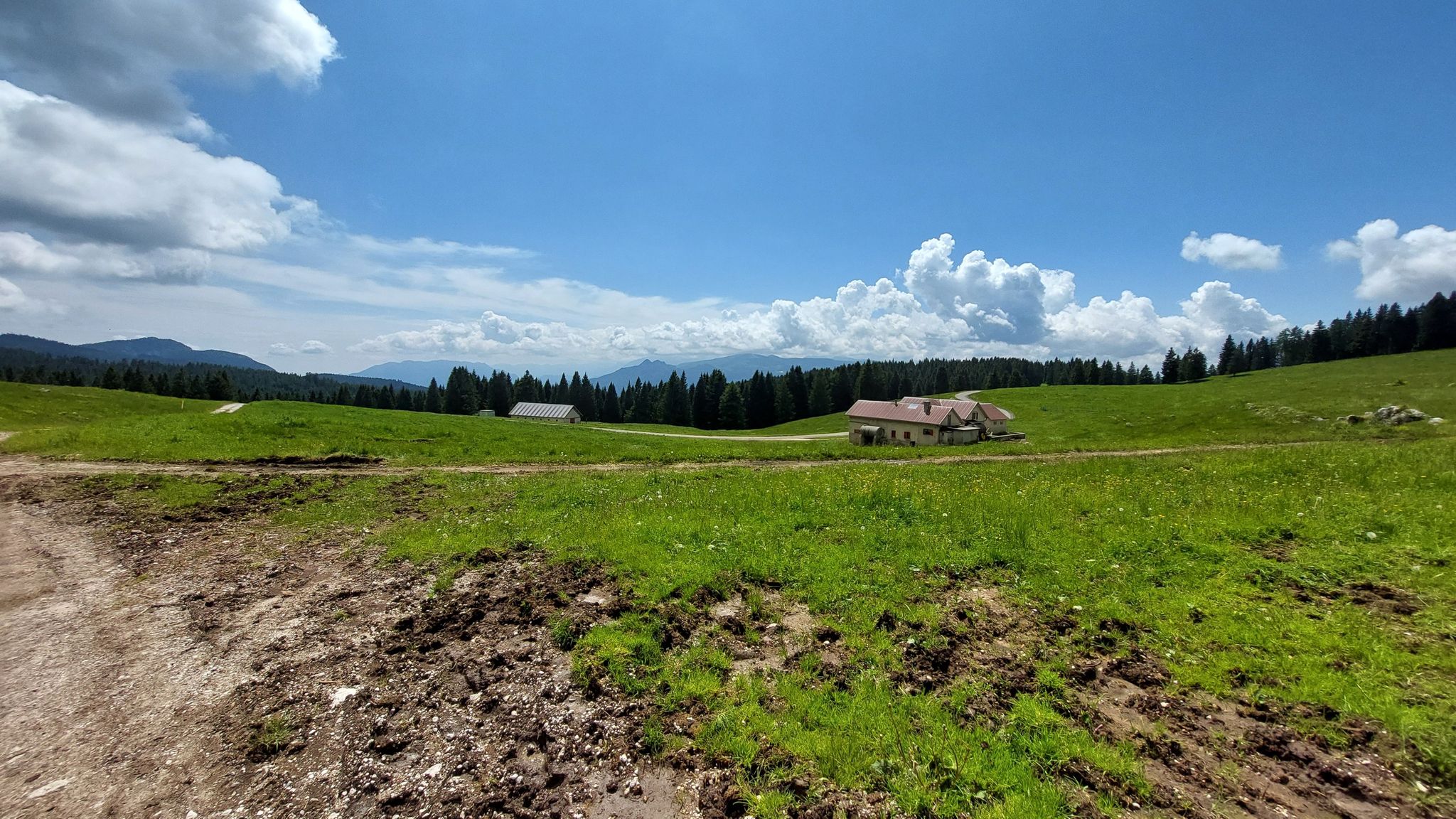 Pascoli di malga Mandrielle