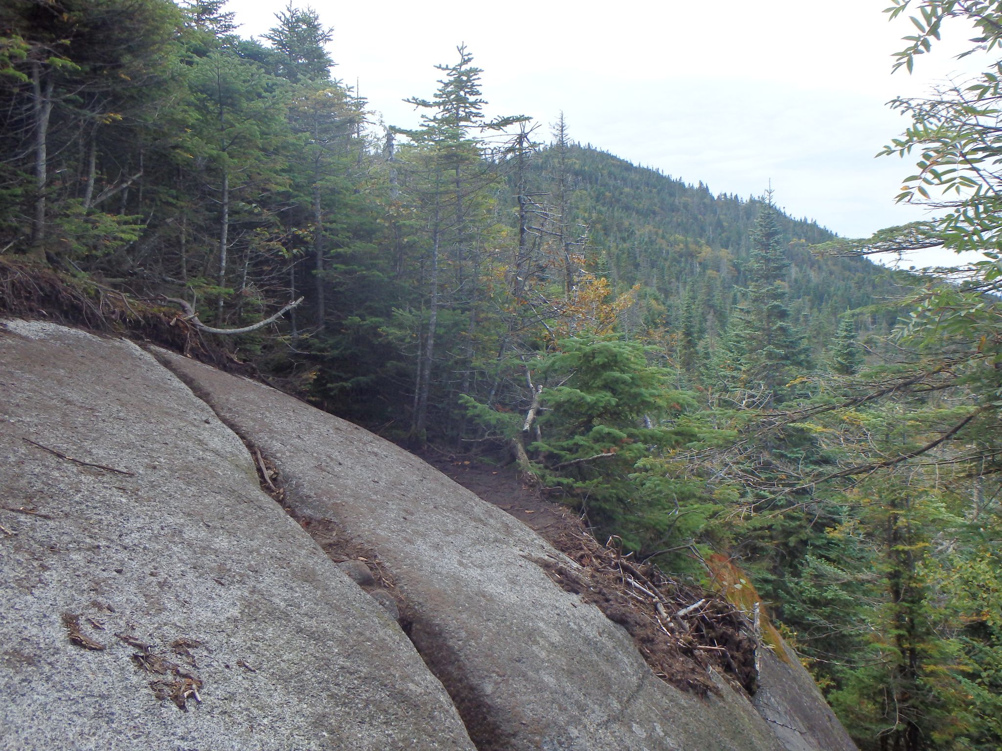 Steep rocky slope next to a dense evergreen forest on an overcast day. - Seward Range Traverse
