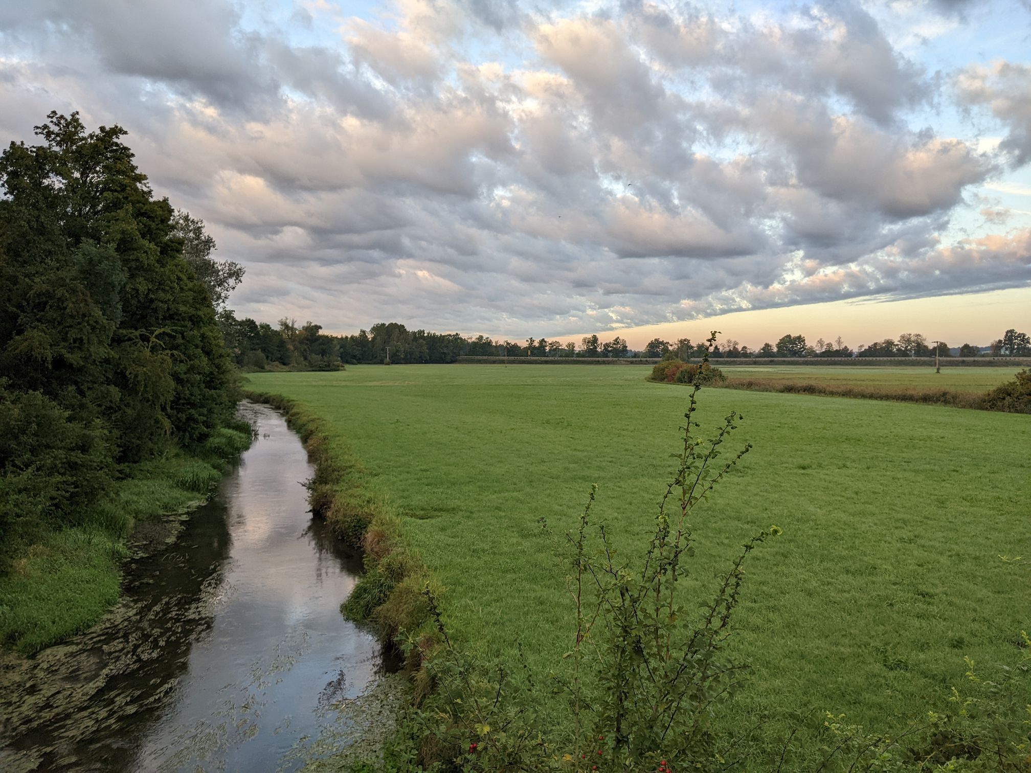 Große Laber