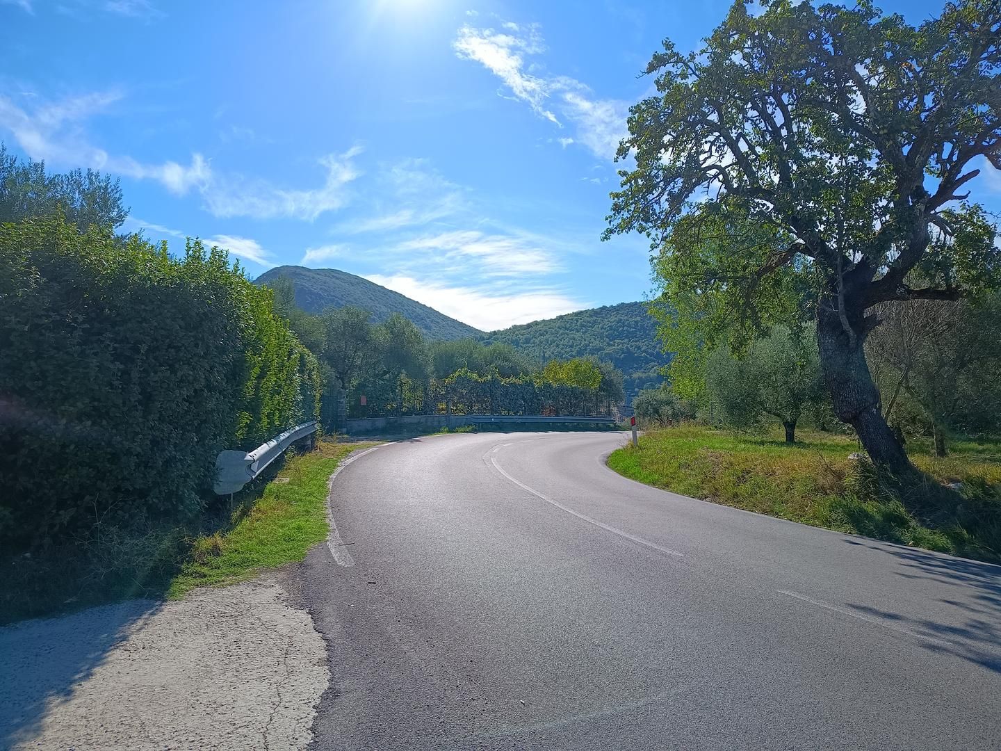 Natura e asfalto verso Pico.