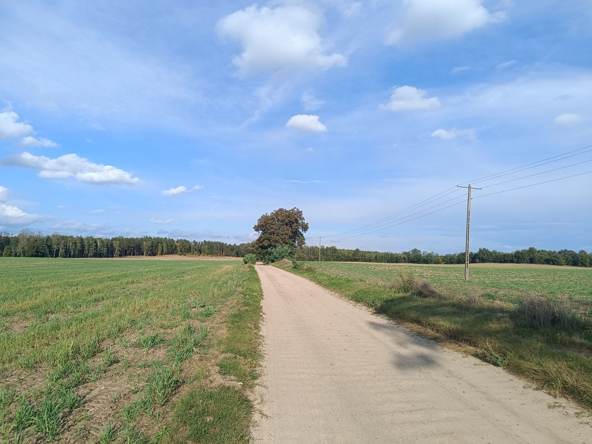 praleczka