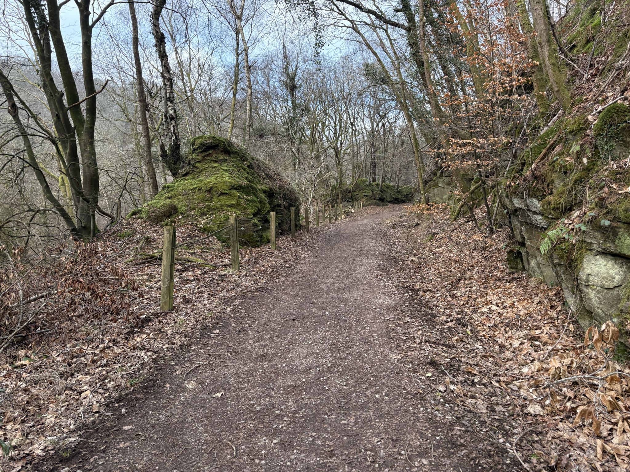 Coleford Link
