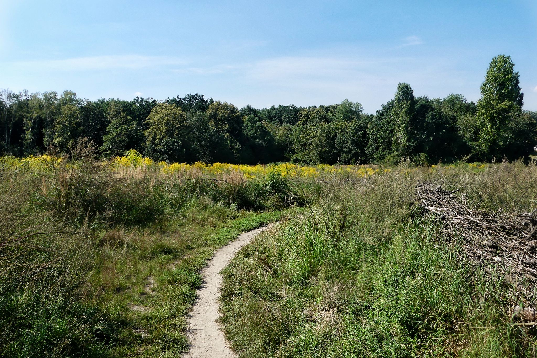 Grünzug in Kladow