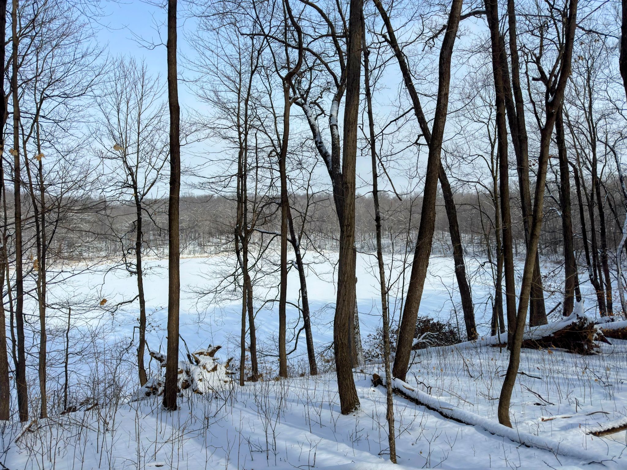 Bare trees in a snowy forest overlooking a frozen, snow-covered lake. - Wood-Rill Scientific and Natural Area loop