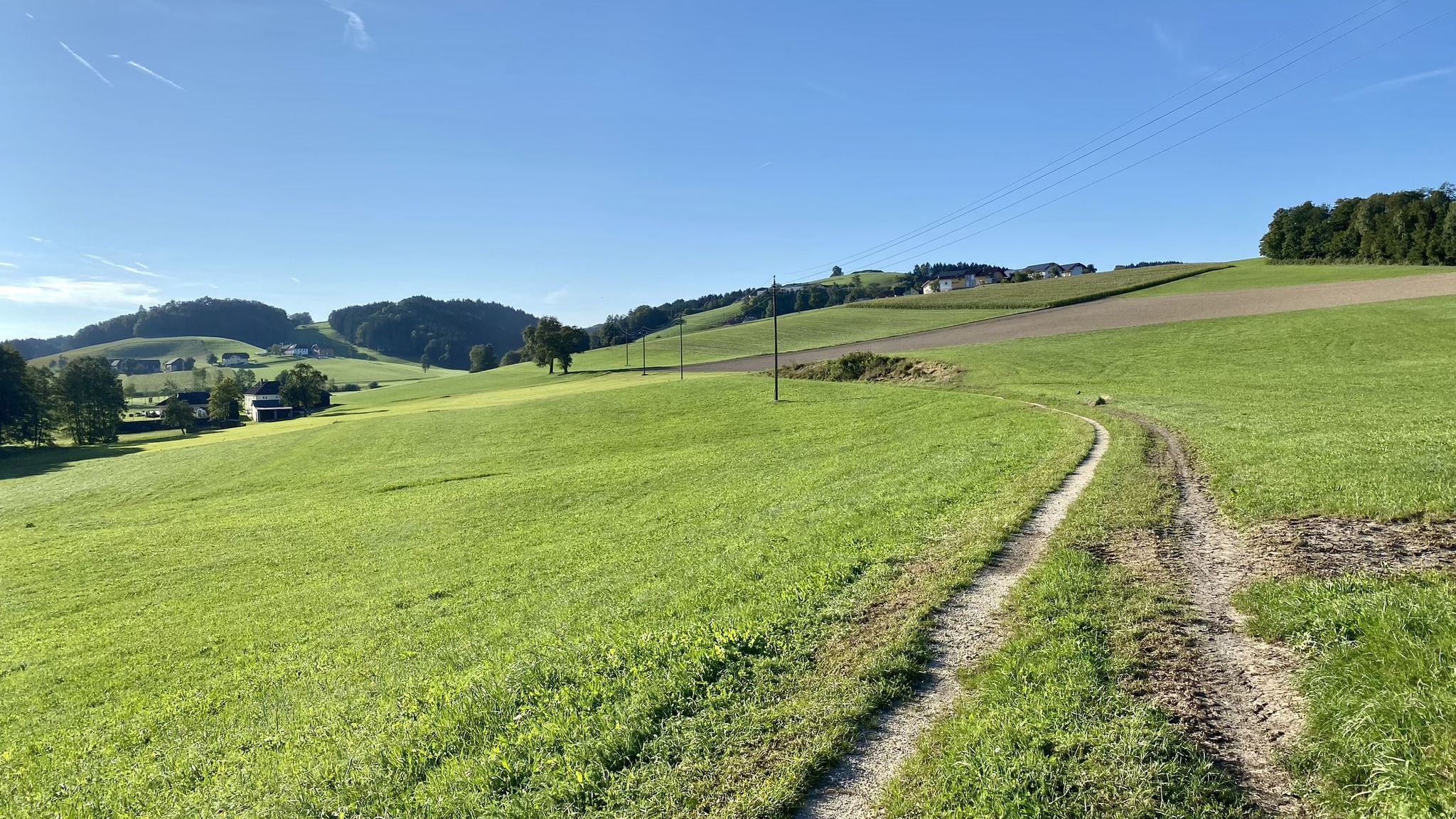 super Wiesenweg - Ende steile Auffahrt links hinten