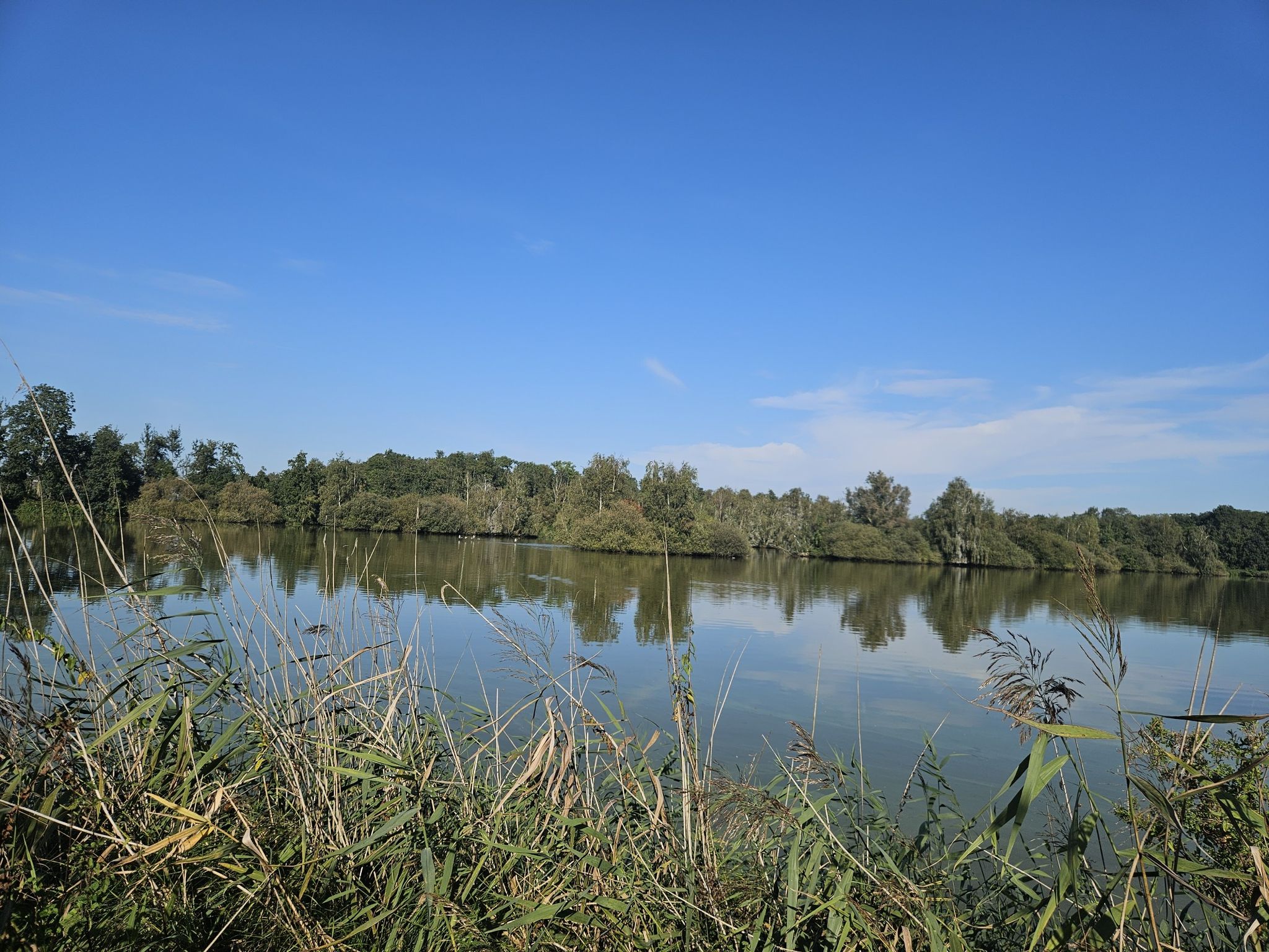 Swettepoel