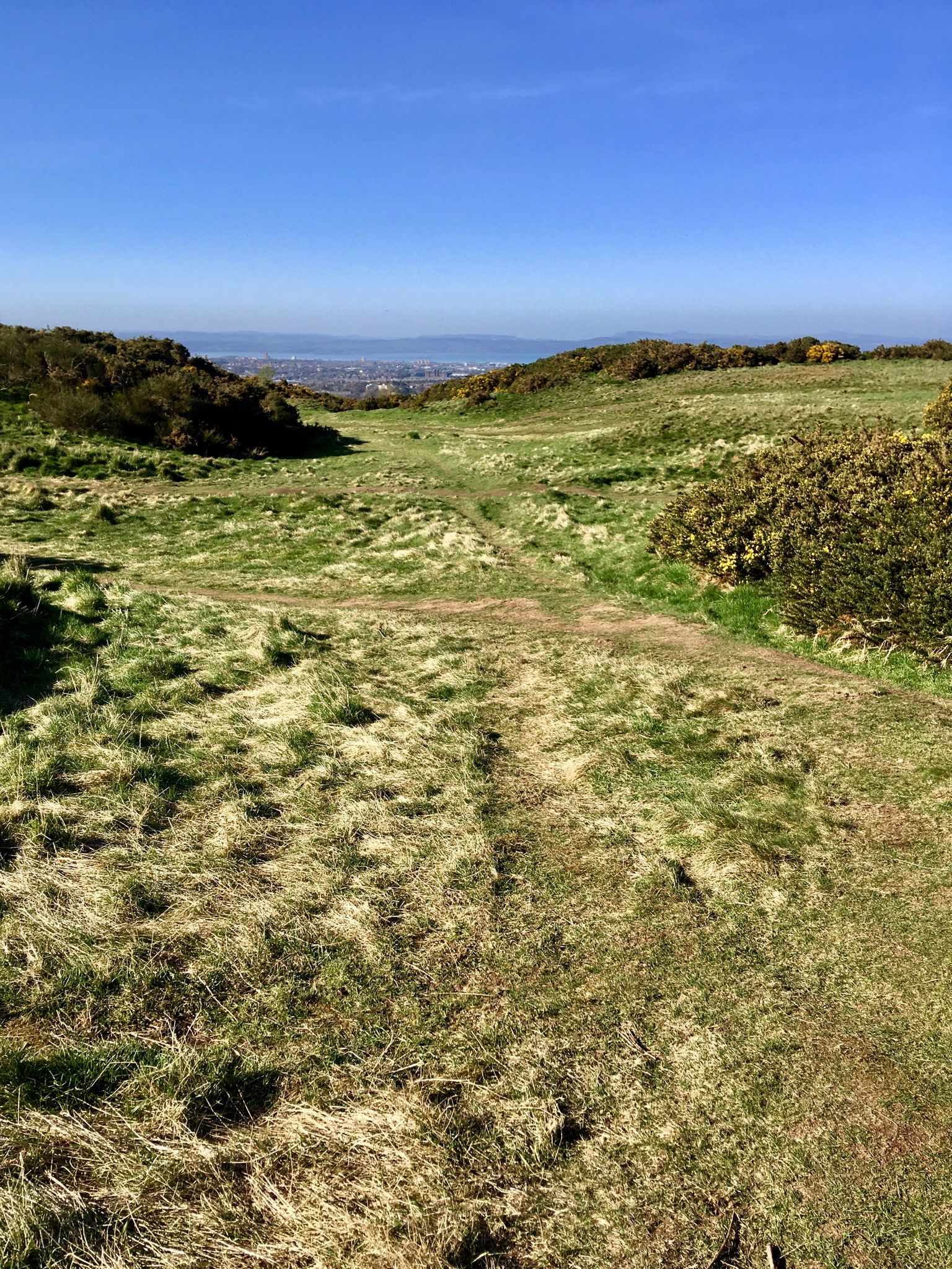 Braid Hill