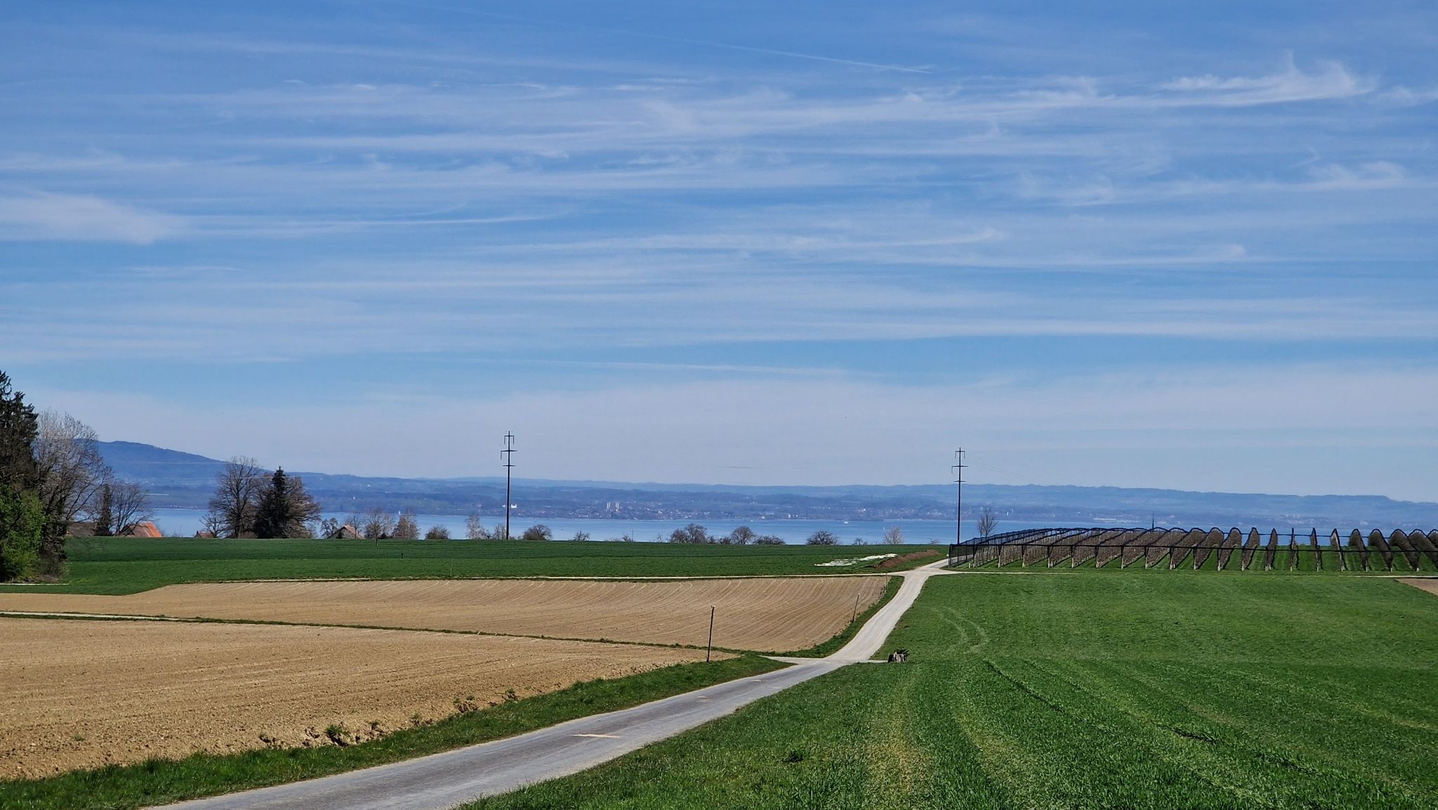 Blick auf den Bodensee
