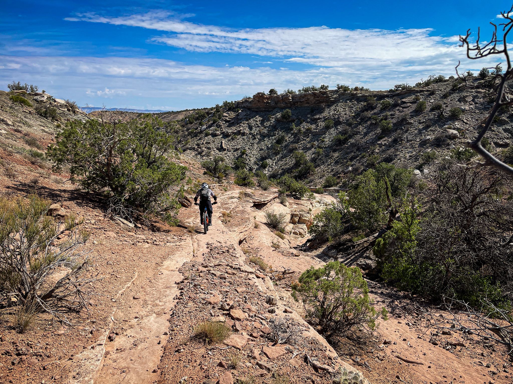 Person mountain biking on a winding dirt trail through arid, rocky hills. - Top of The Ribbon – Andy's Trail loop from The Ribbon Trailhead