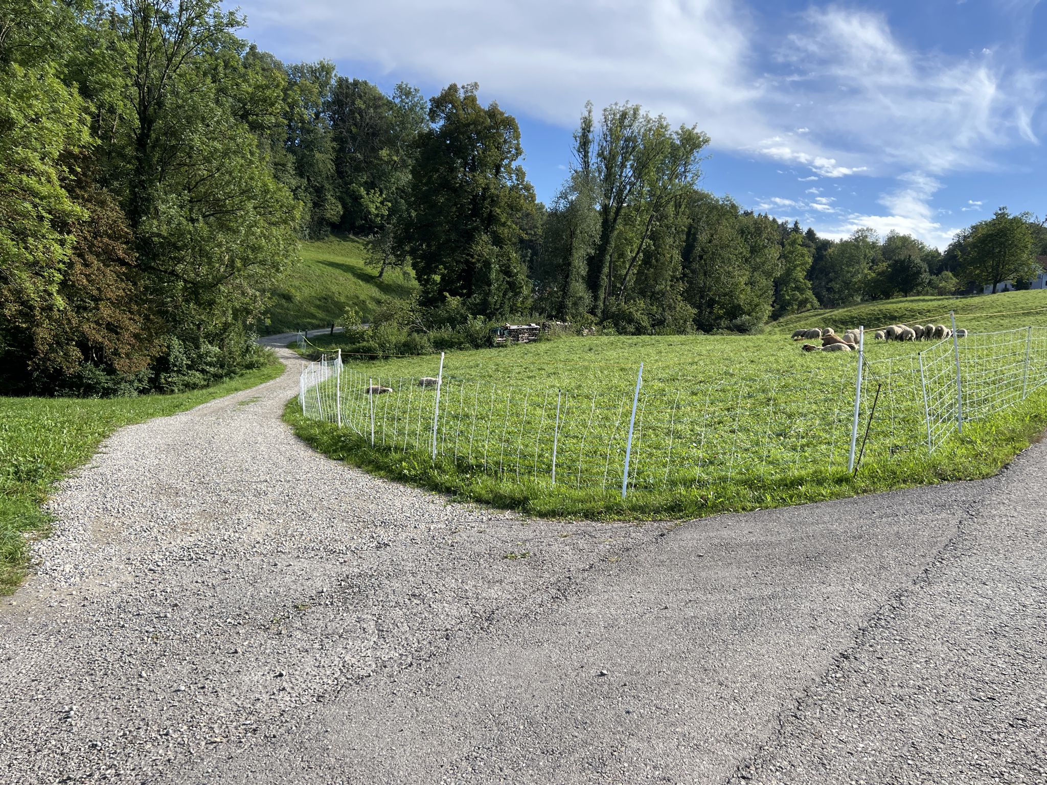 Der von der Gemeinde gesperrte Weg. Umleitung rechts, weiter über die Teerstrasse.