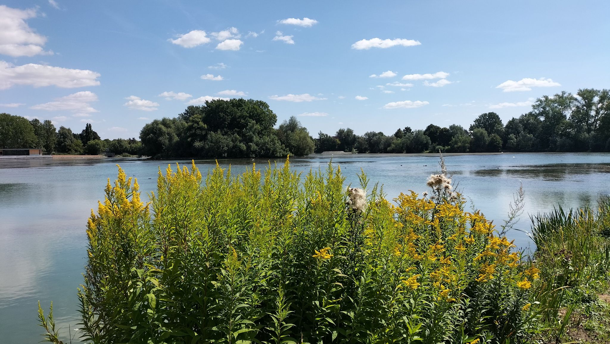 Schwanenteich