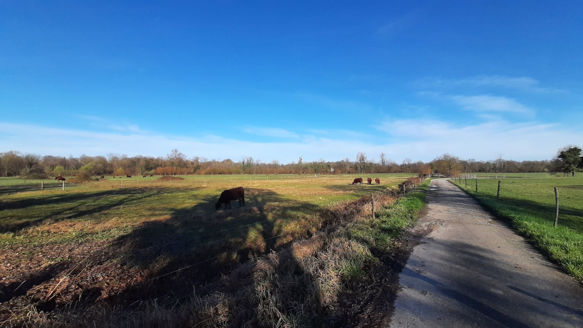 Wilde Weiden, Taubergießen