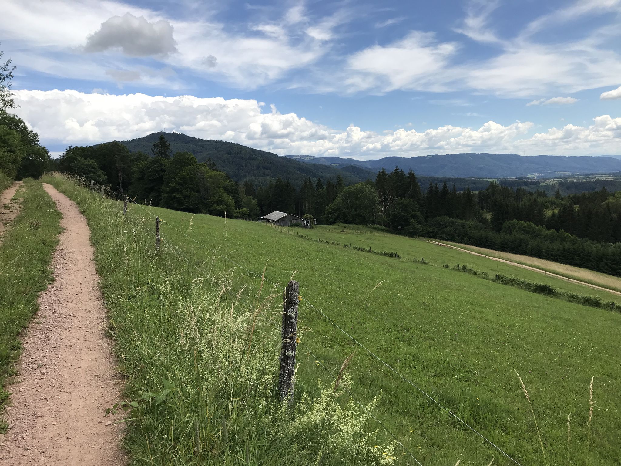 Aussicht auf die Hohe Möhr (bei guter Sicht kann man von hier aus die Alpen sehen)