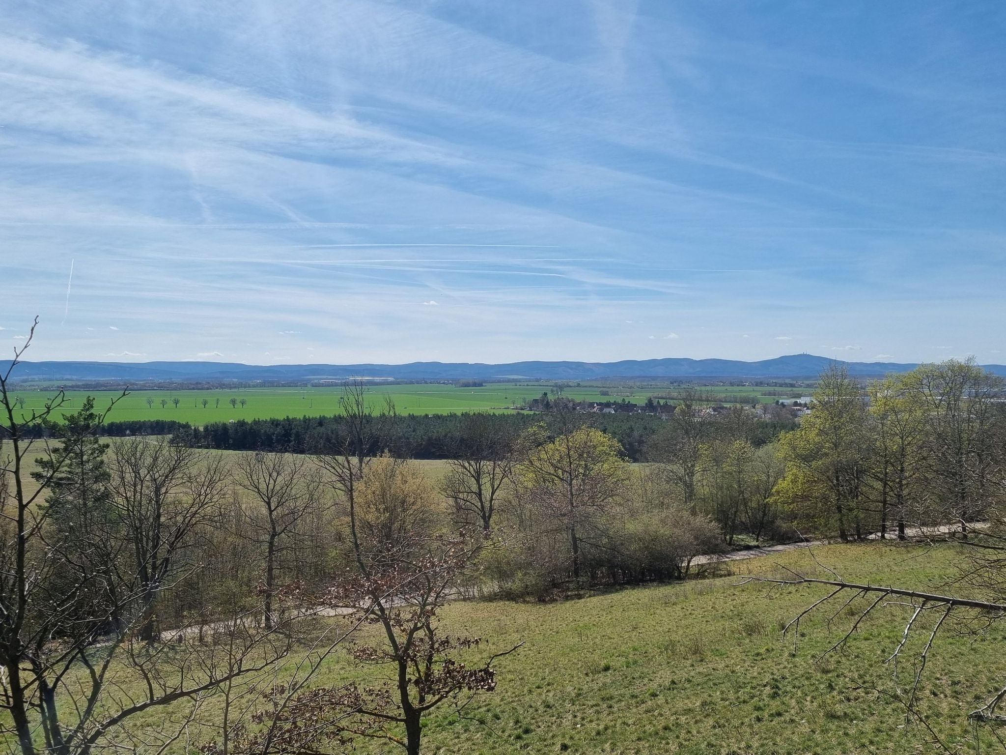 Thüringer Wald Blick