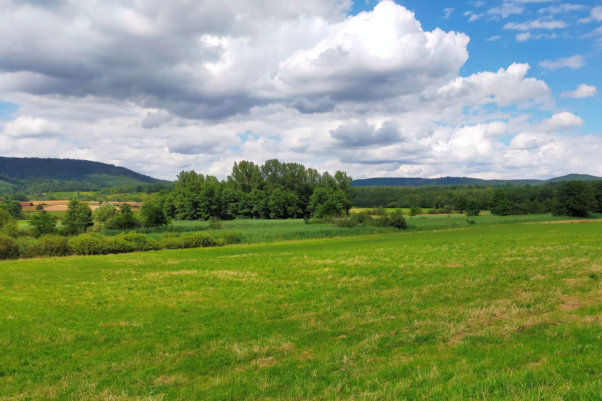 Naturschutzgebiet "Unterer See"