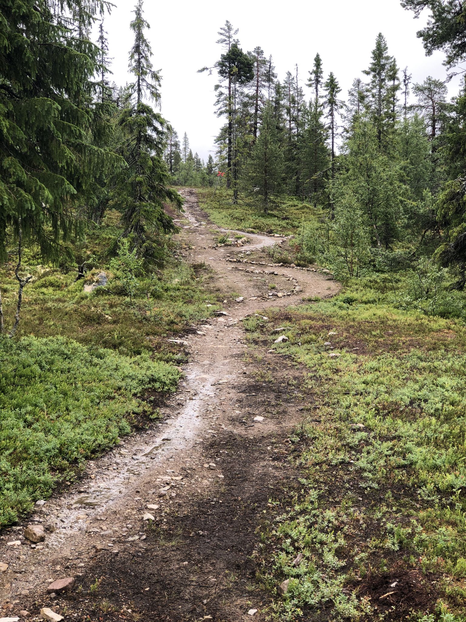 The beginning of the final climb
