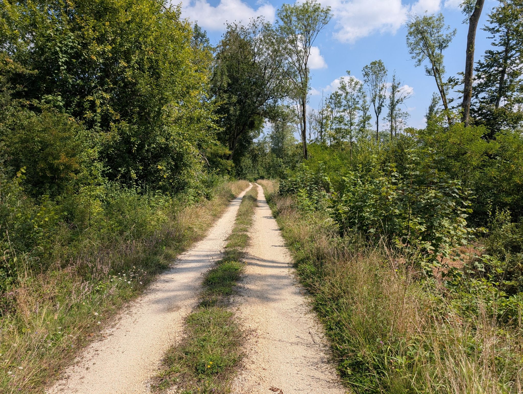 gravel in Forêt Domaniale de Verdun