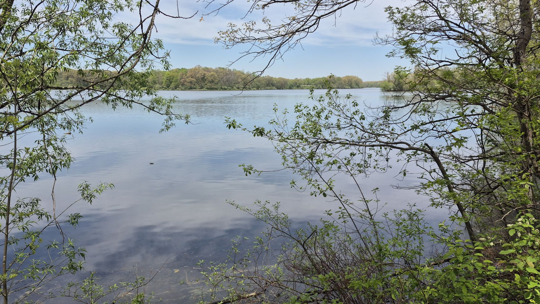 Calm lake viewed through tree branches, reflecting a cloudy sky. - Buno Road bridge loop from South Martindale Picnic Shelter