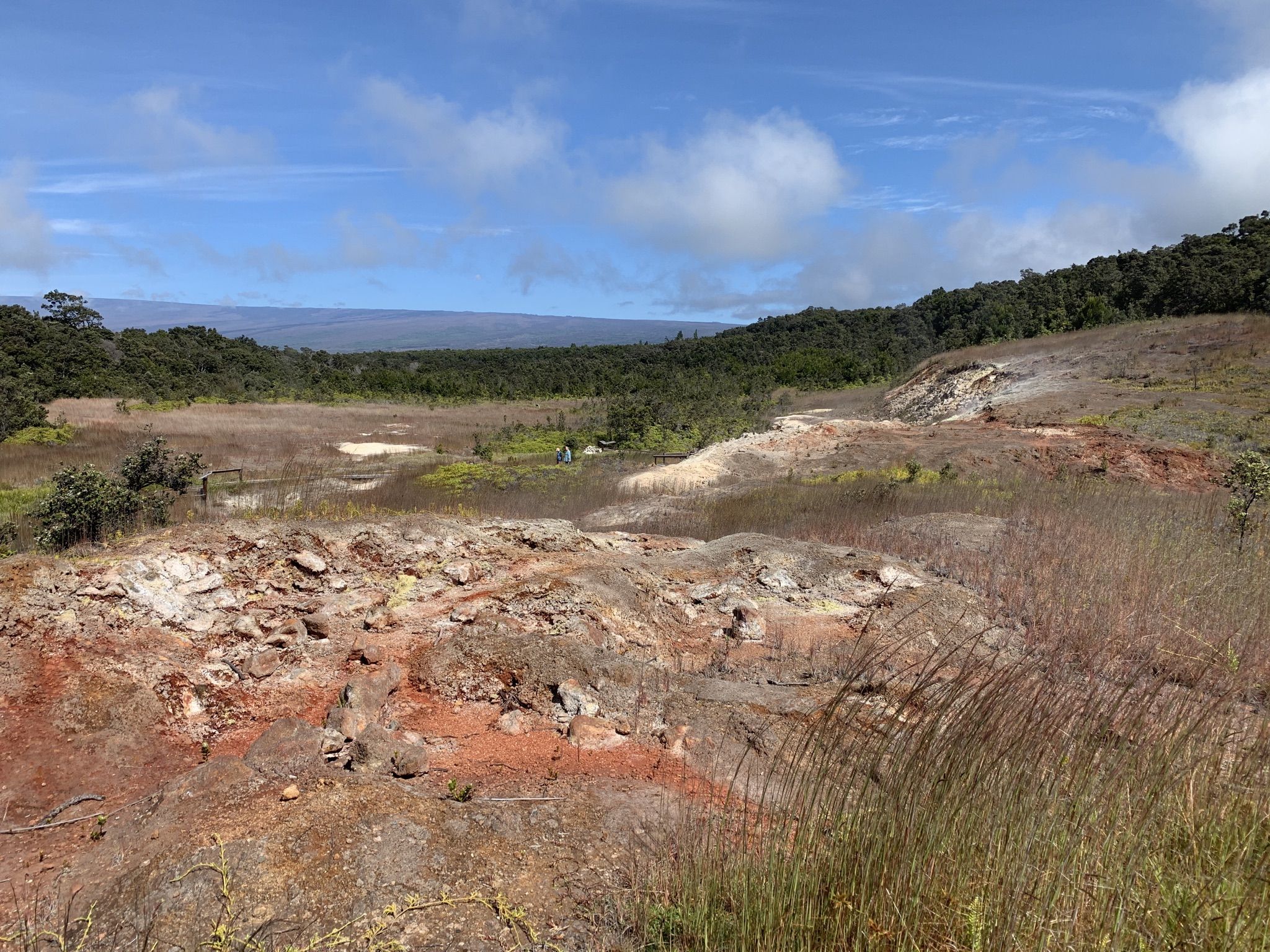 Volcanic landscape with colorful earth, sparse vegetation, and distant forest under blue sky. - Crater Rim Trail