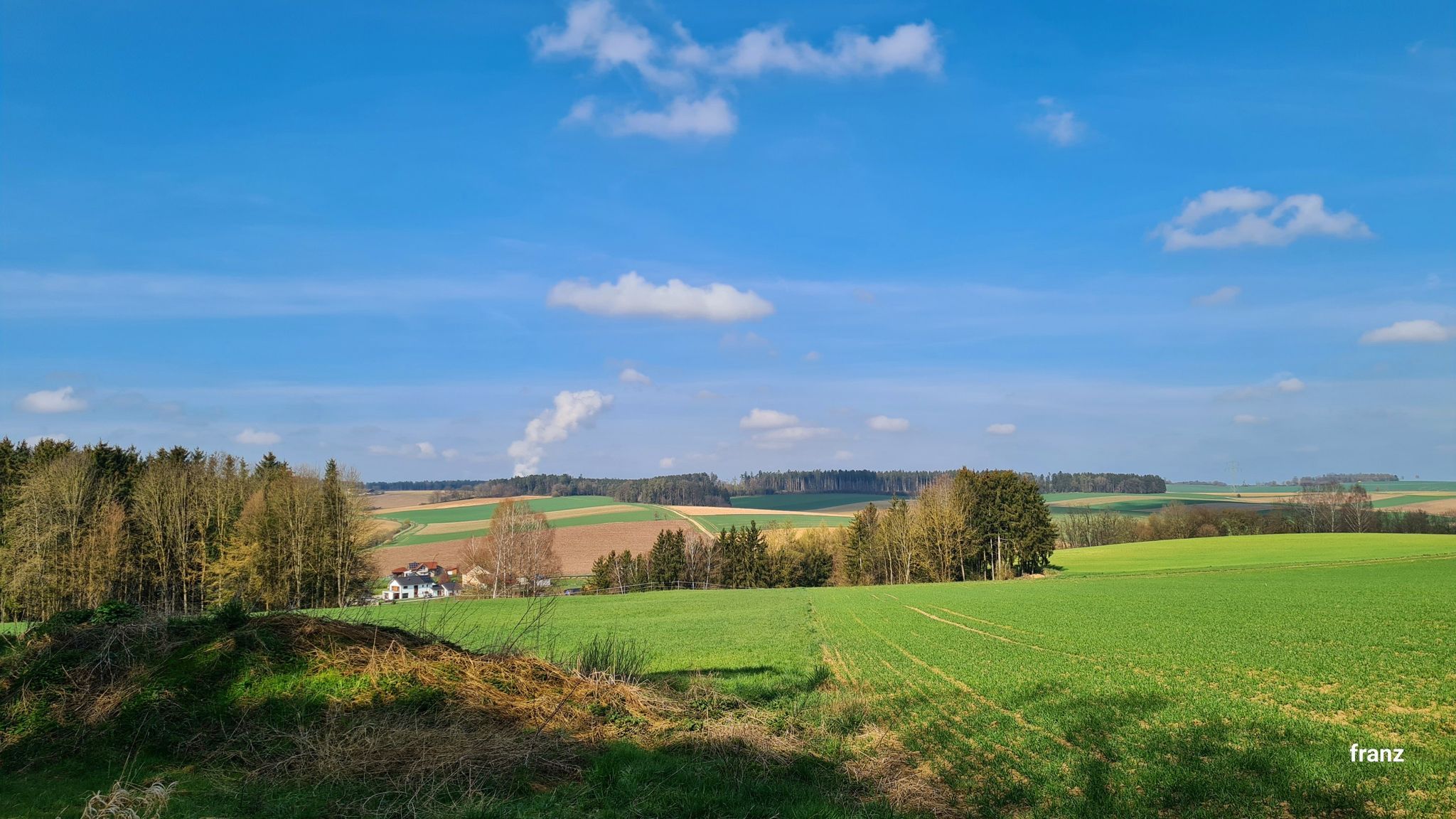 Blick über Weigendorf