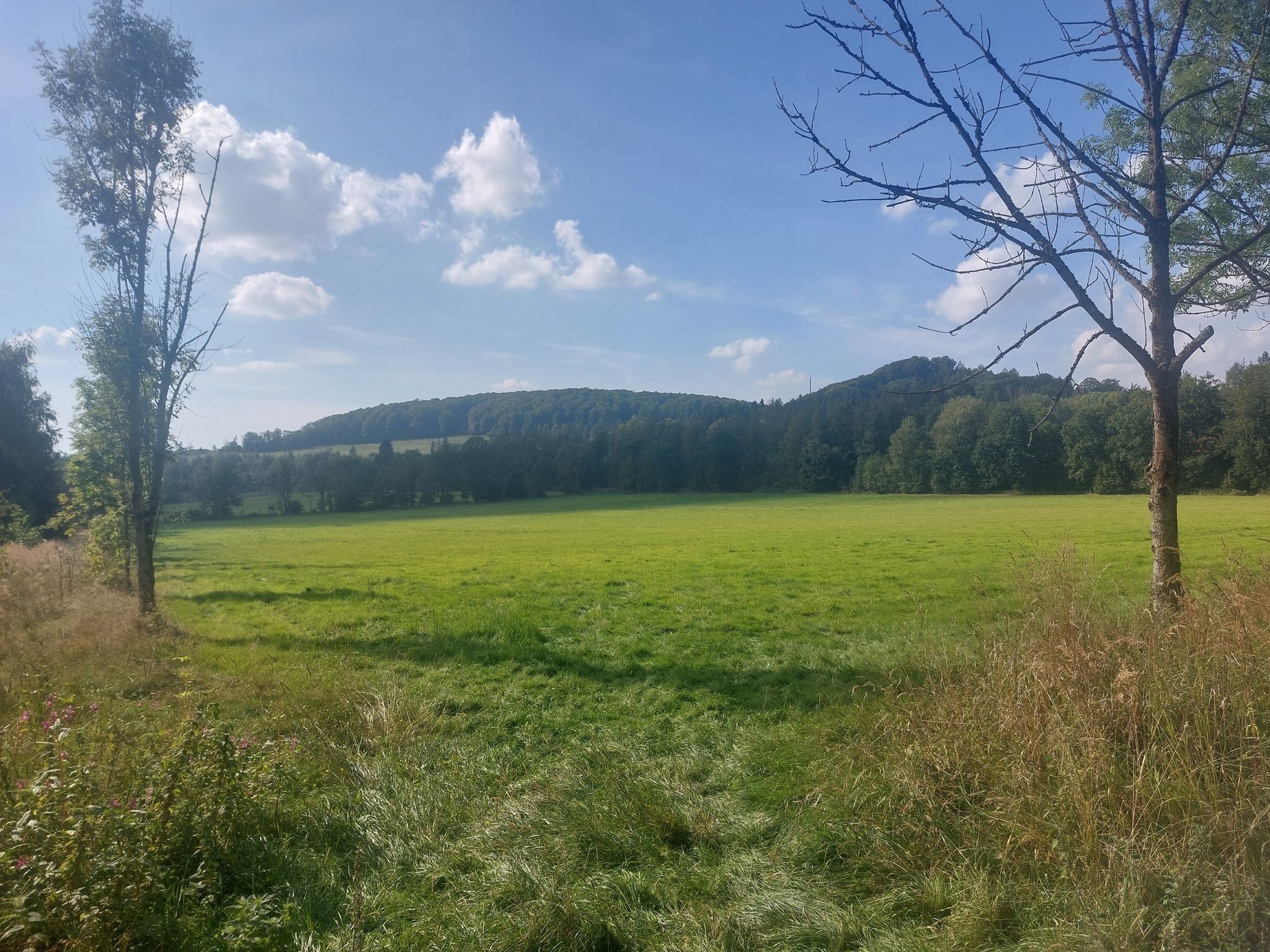 viewpoint Ziegenkopf