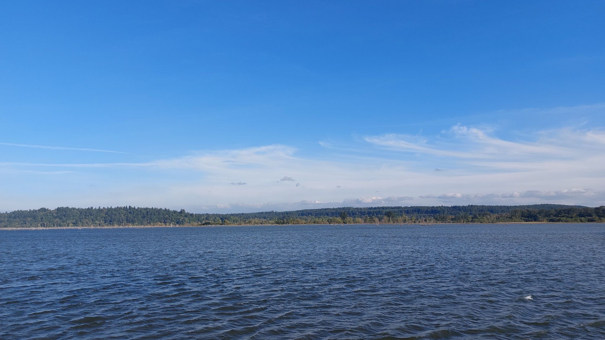Wide blue water with a distant treeline under a clear sky. - Nisqually Estuary Boardwalk Trail