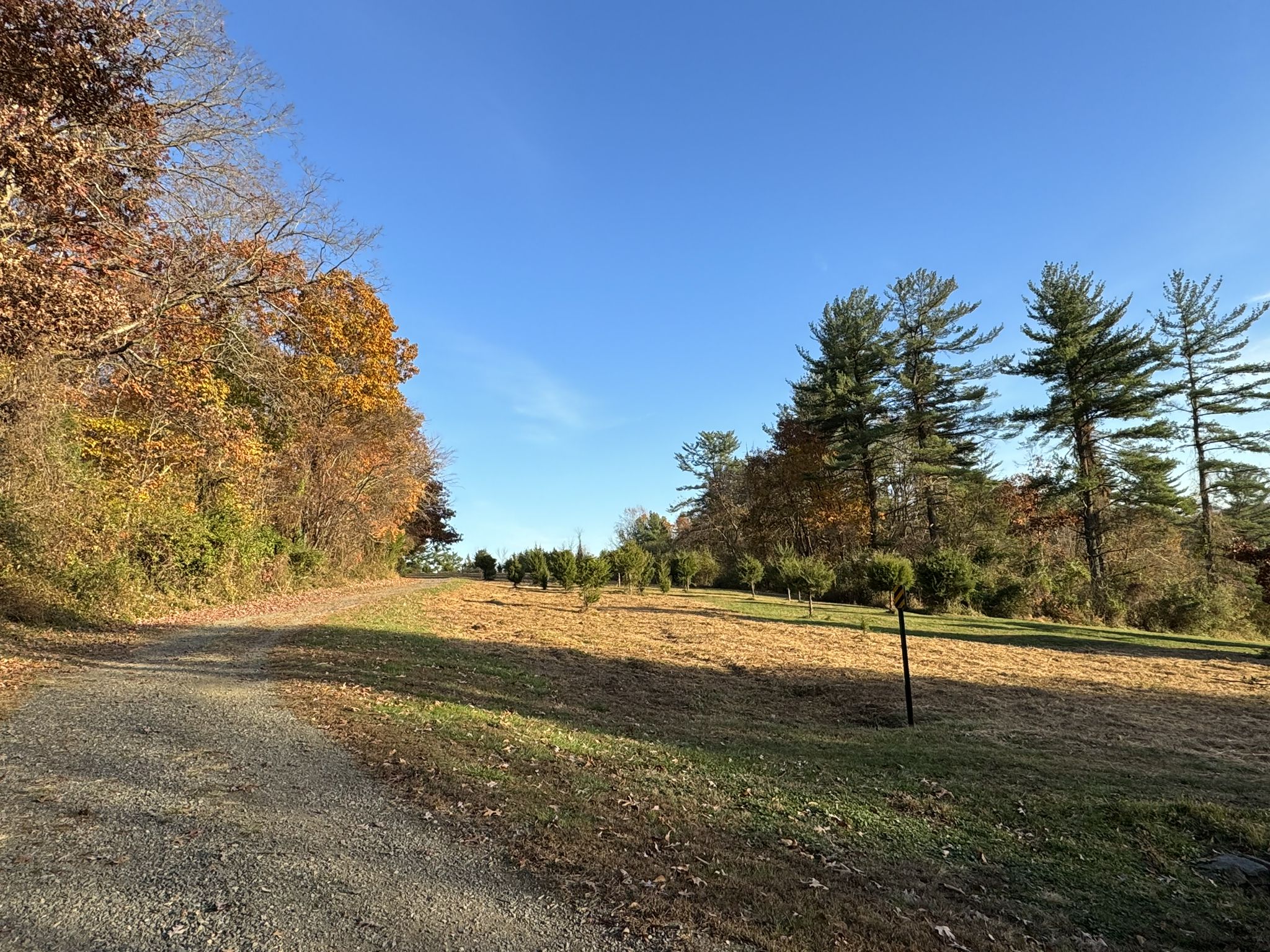 Dirt path next to a grassy field with autumn trees under blue sky. - Green Lane Park - Blue Trail