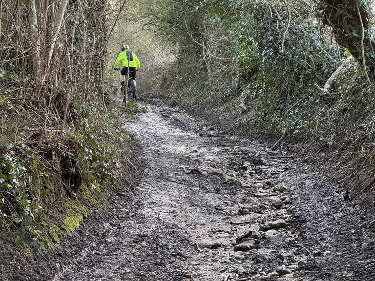 Slacks Ponds, Roche Abbey, Langold Park, &back with GlenN | mountain ...