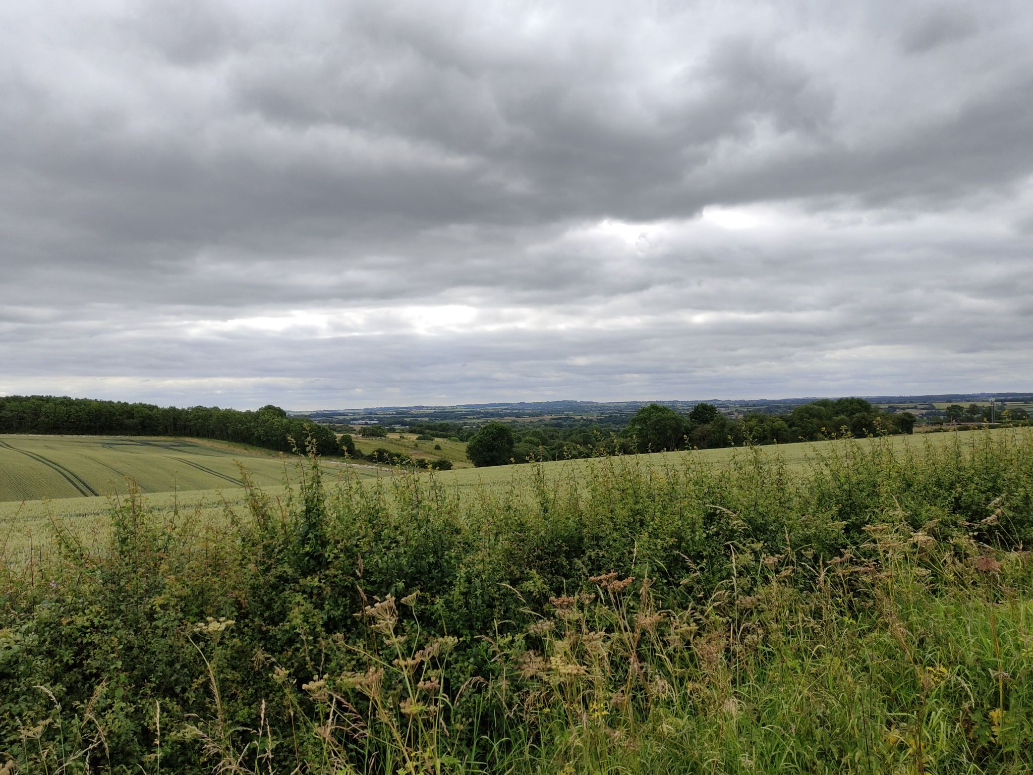 weites Land