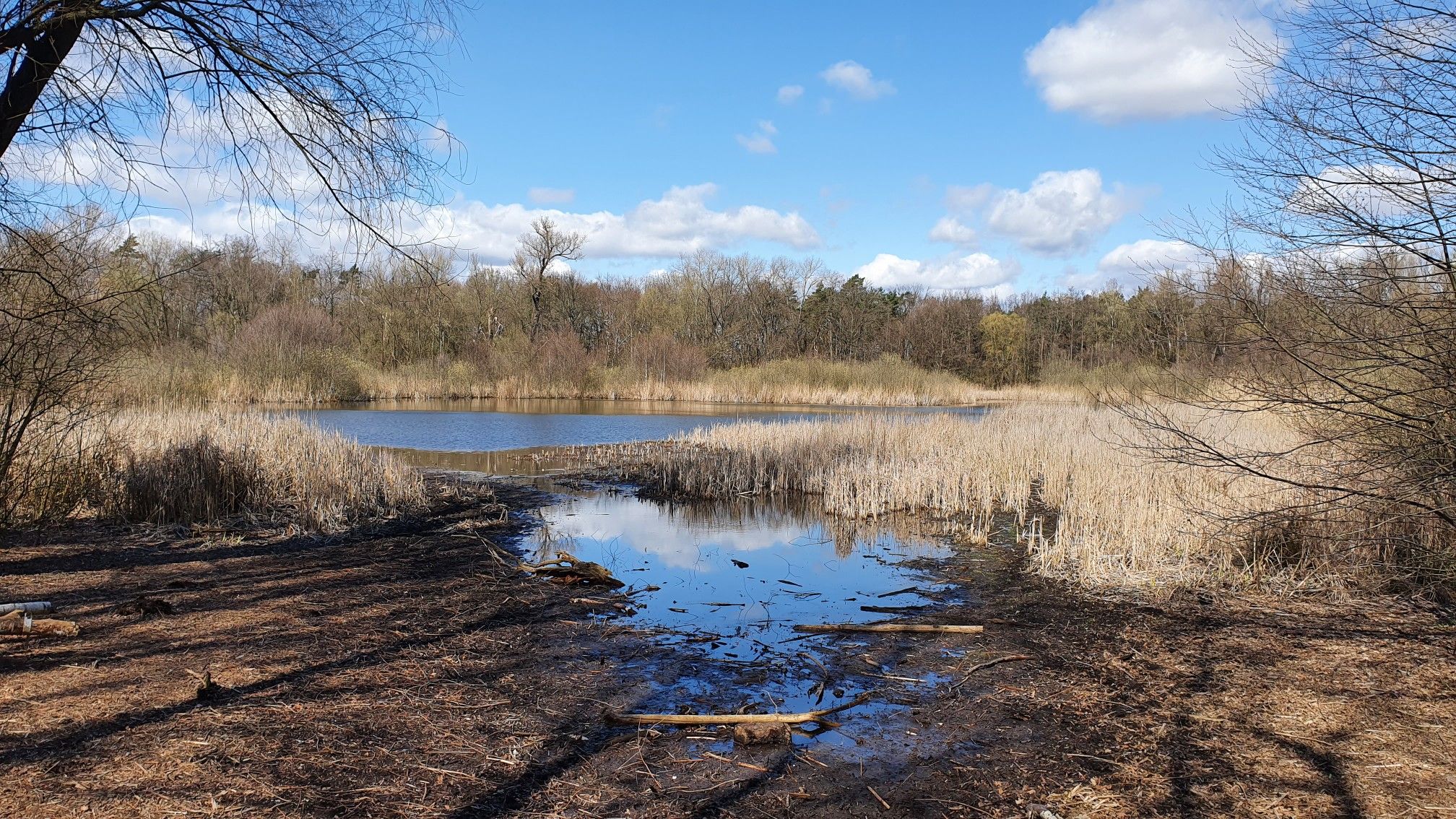 Fauler See