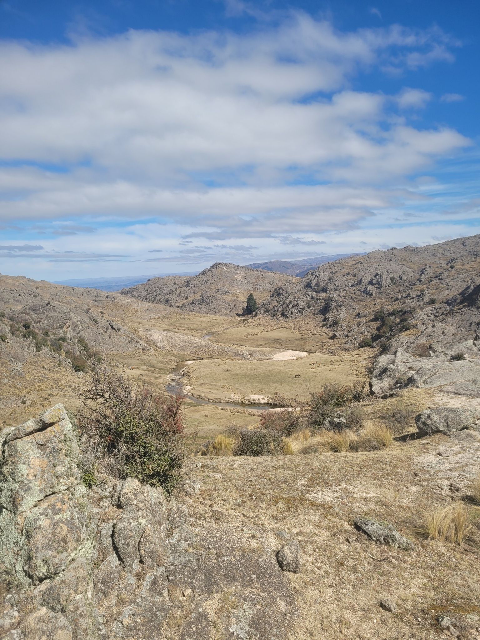 Vallecito del abedul