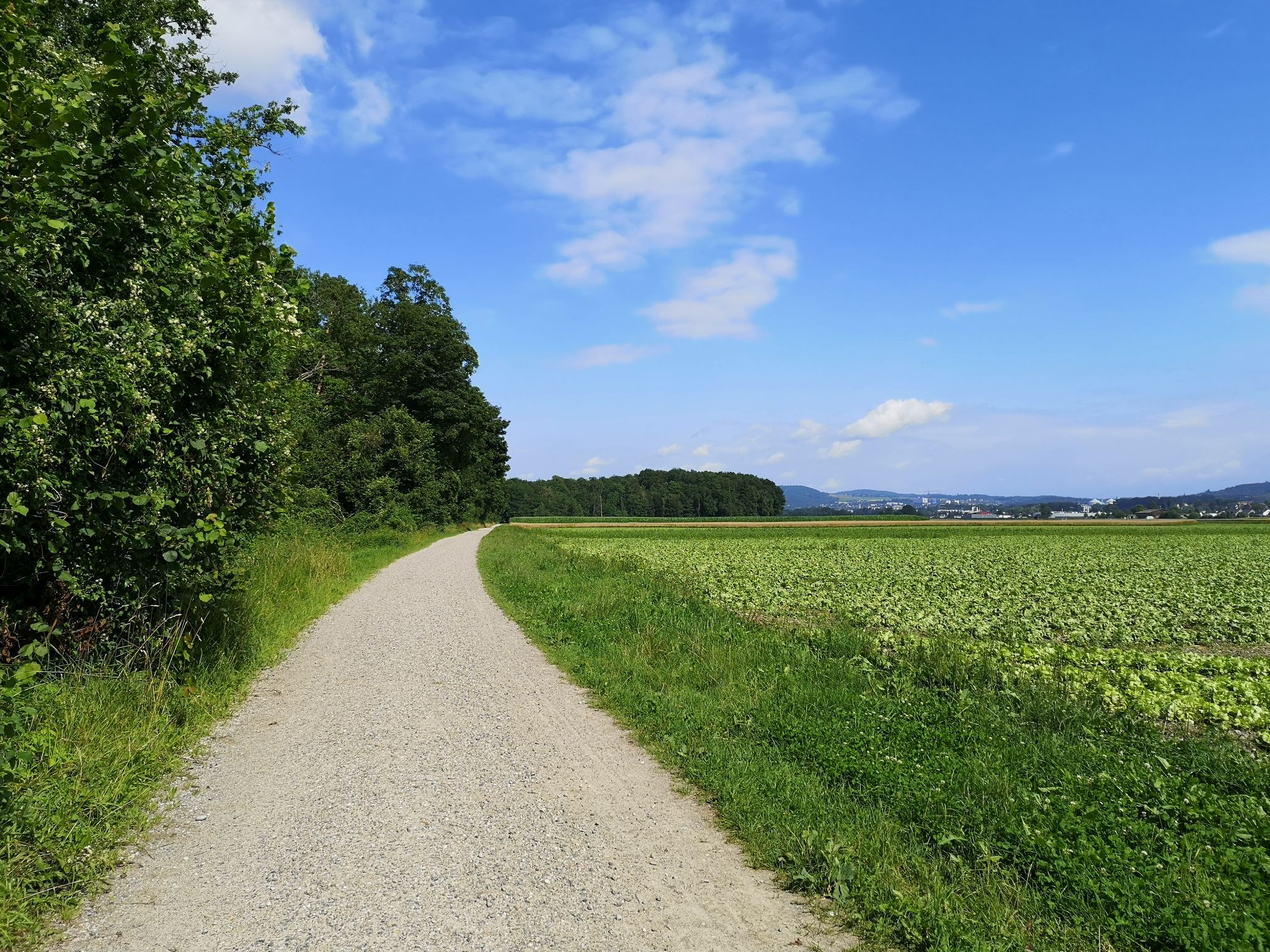 am Schluss noch kurz schauen gehen, wie der Weg rechts vom Binnelkanal aussieht