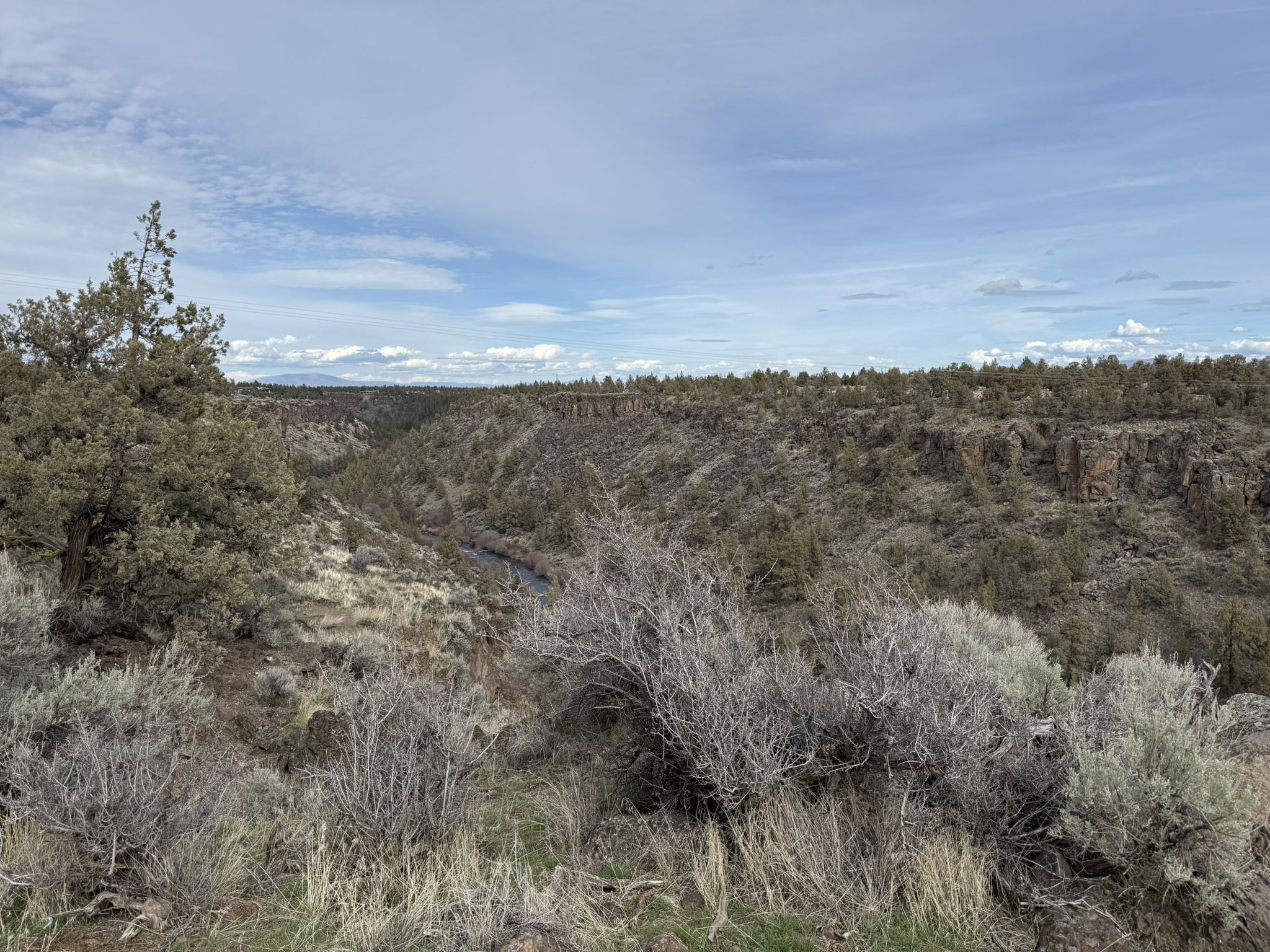 Expansive view of a dry, rocky canyon with sparse trees under a cloudy sky. - Lost Dream Trail Loop