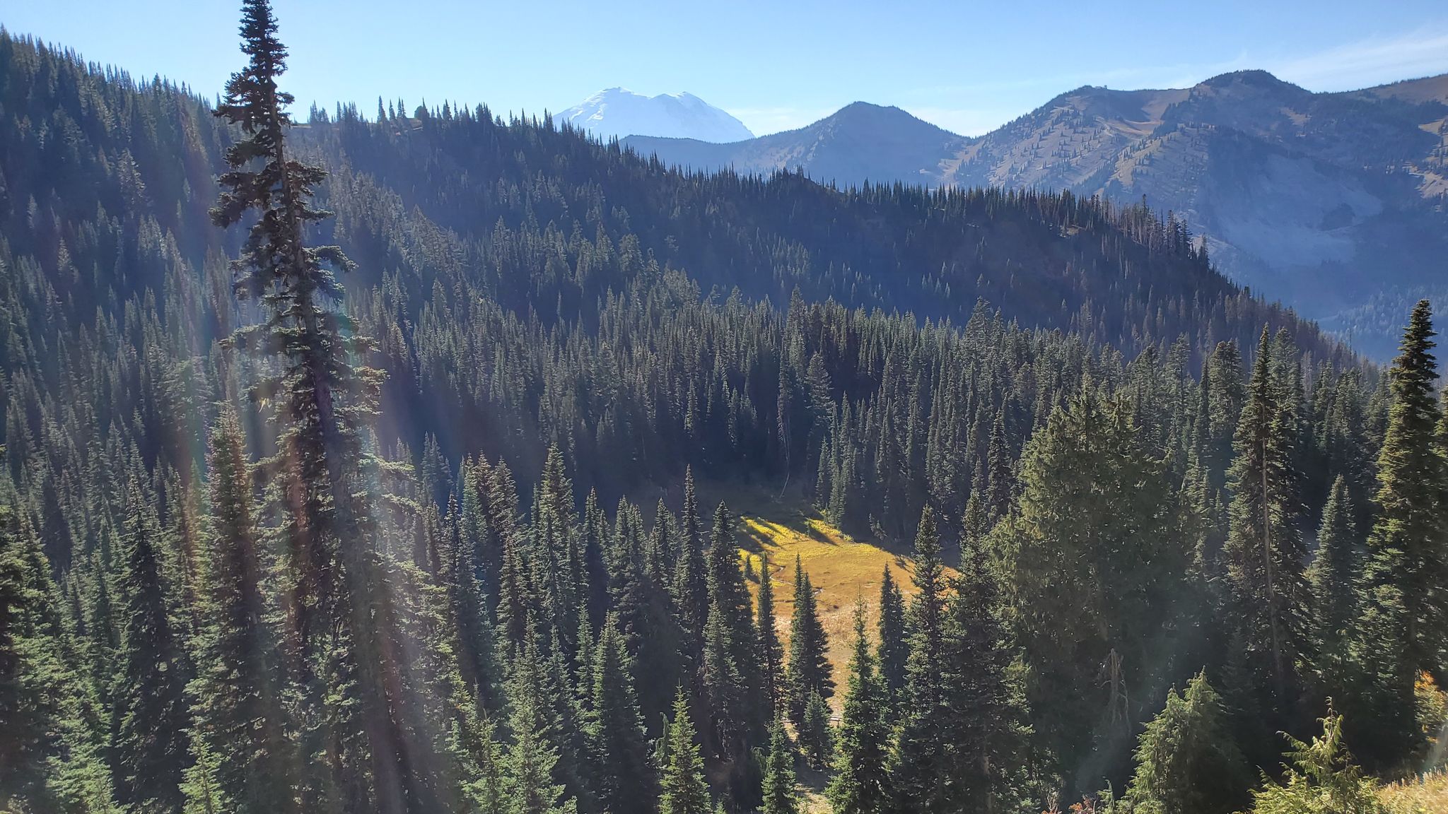 Rainier behind Bullion Basin