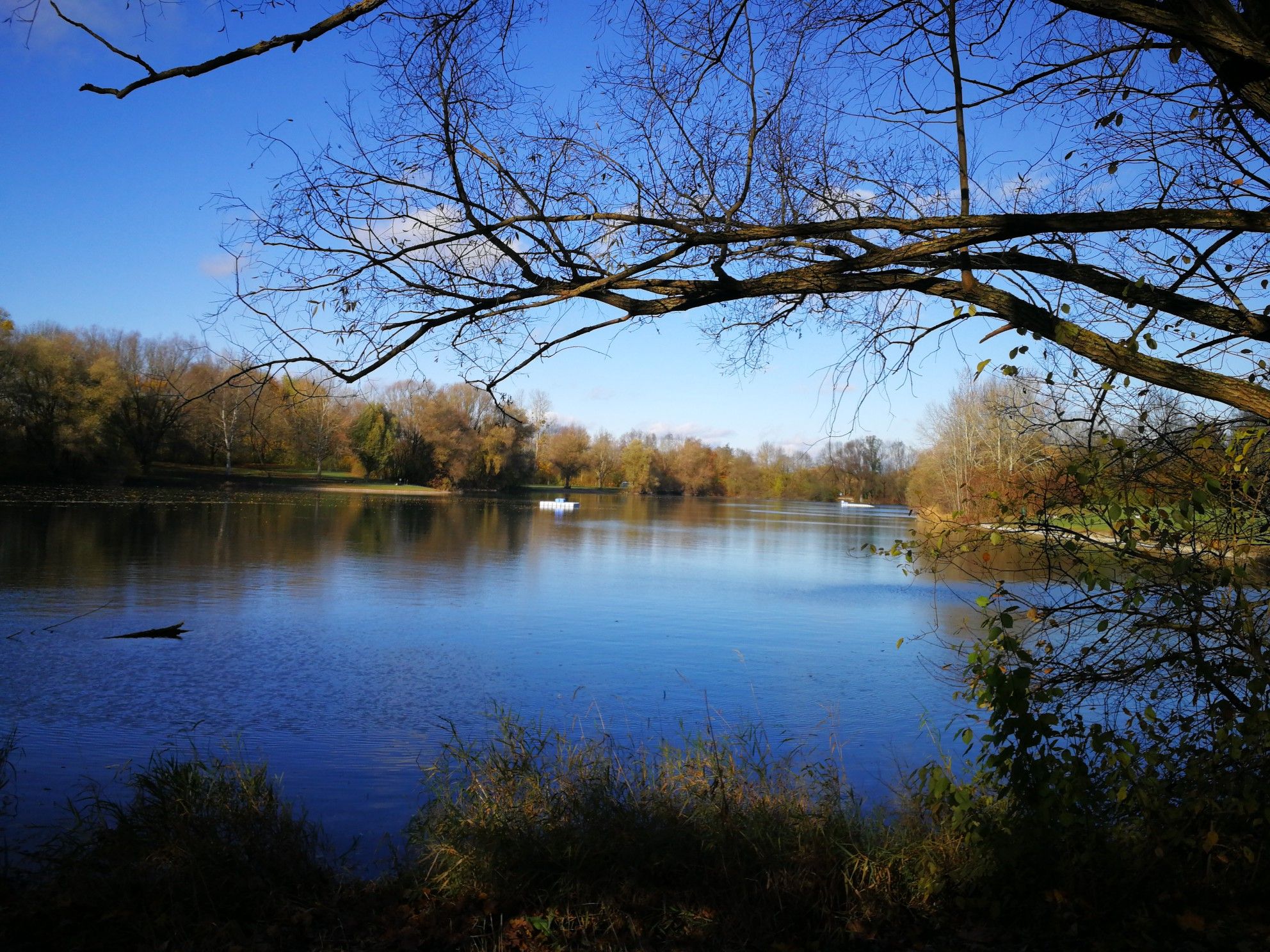 Mühlsee - schöner Badeweiher