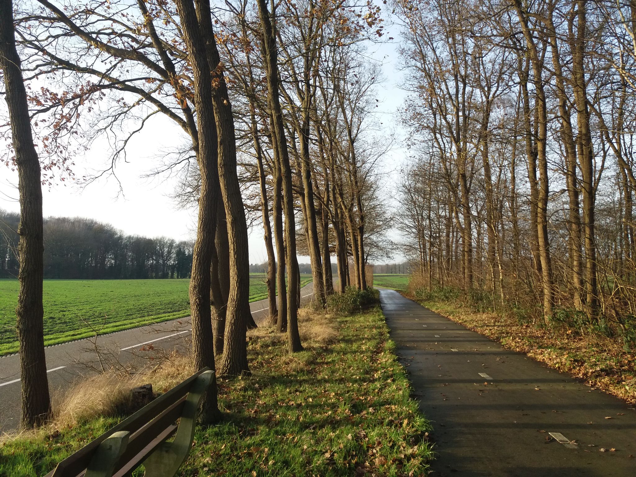 Radwege in schönen Landschaften am Vasserweg zwischen Ootmarsum u. Vasse