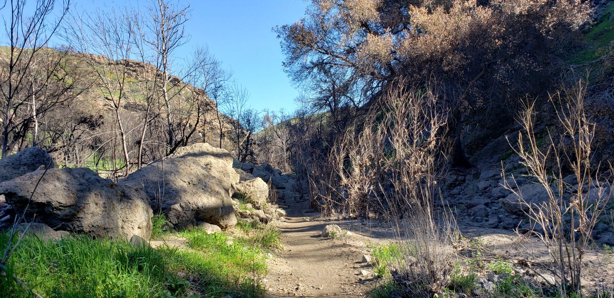 Dirt path winding through rocky terrain with bare trees in golden light. - M*A*S*H Filming Site, Malibu Creek State Park – Malibou Lake loop from Malibou Lake