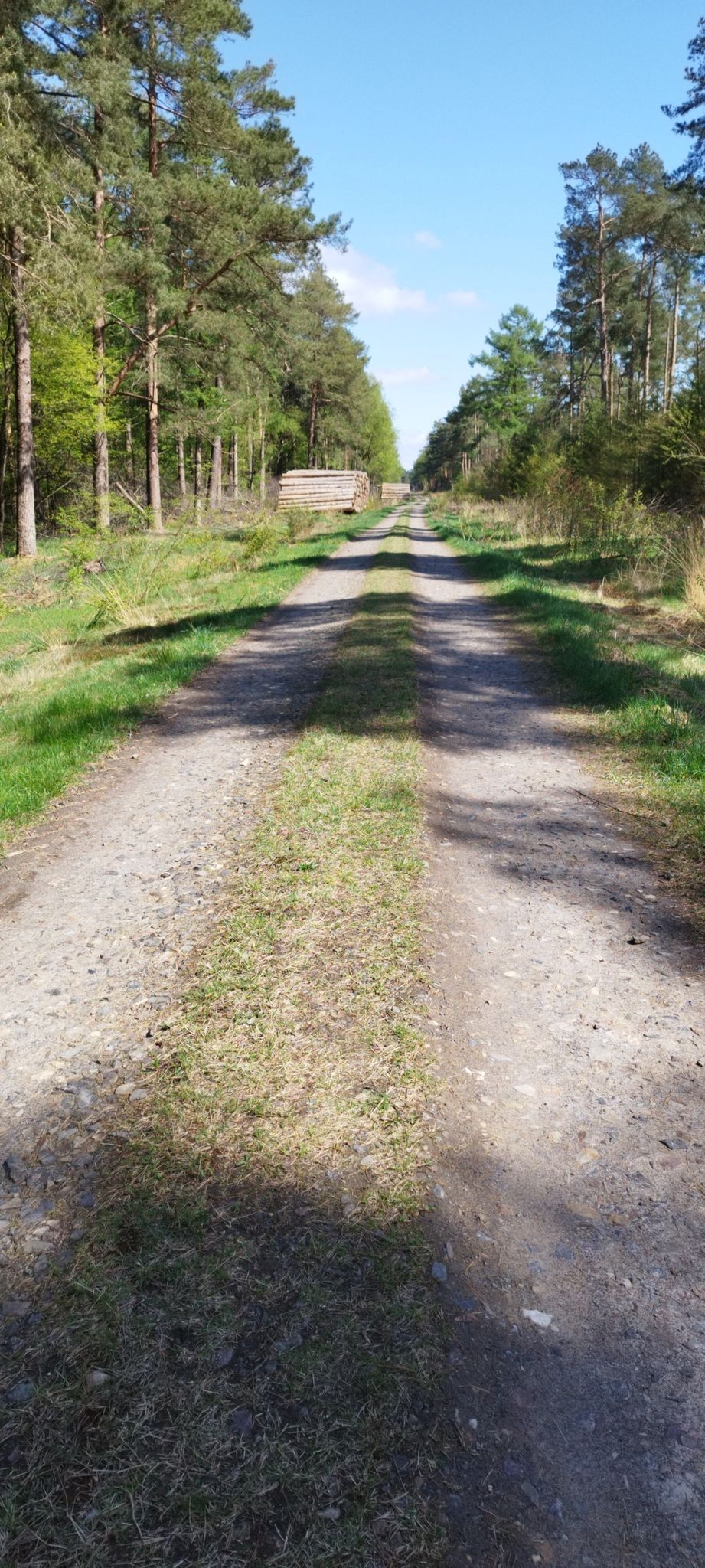 ziemlich ruppiger Weg