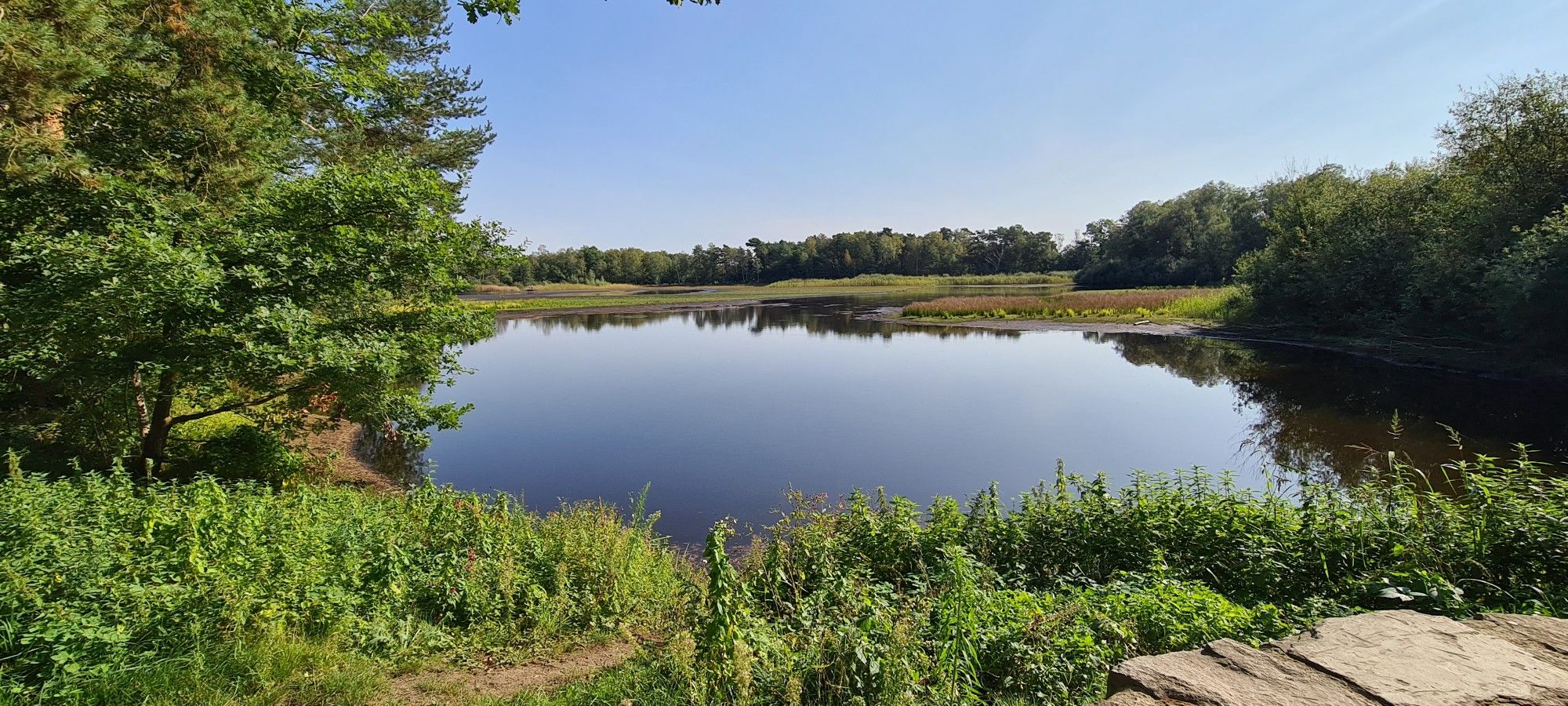 Würmsee