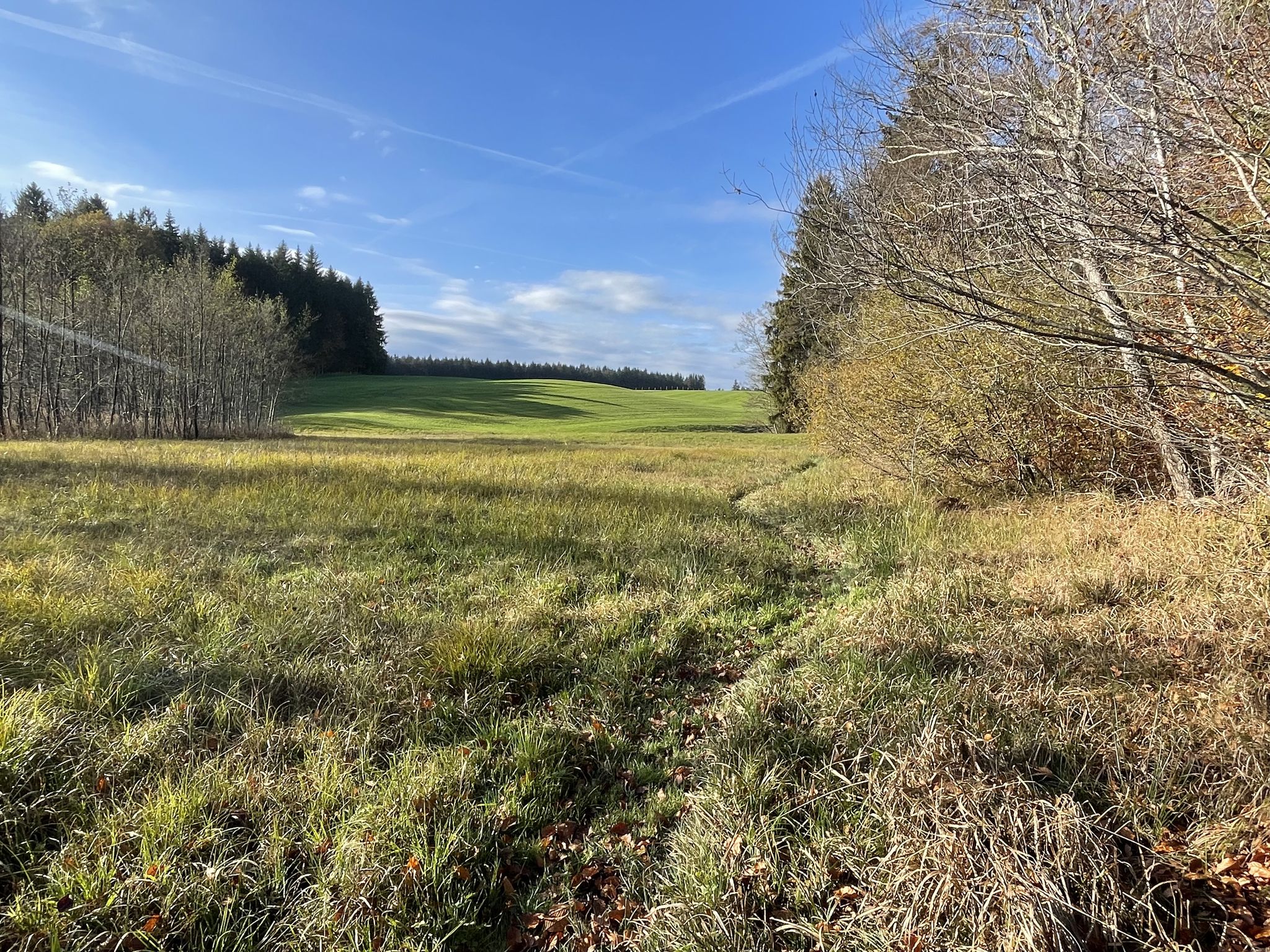 Wiesnpfad