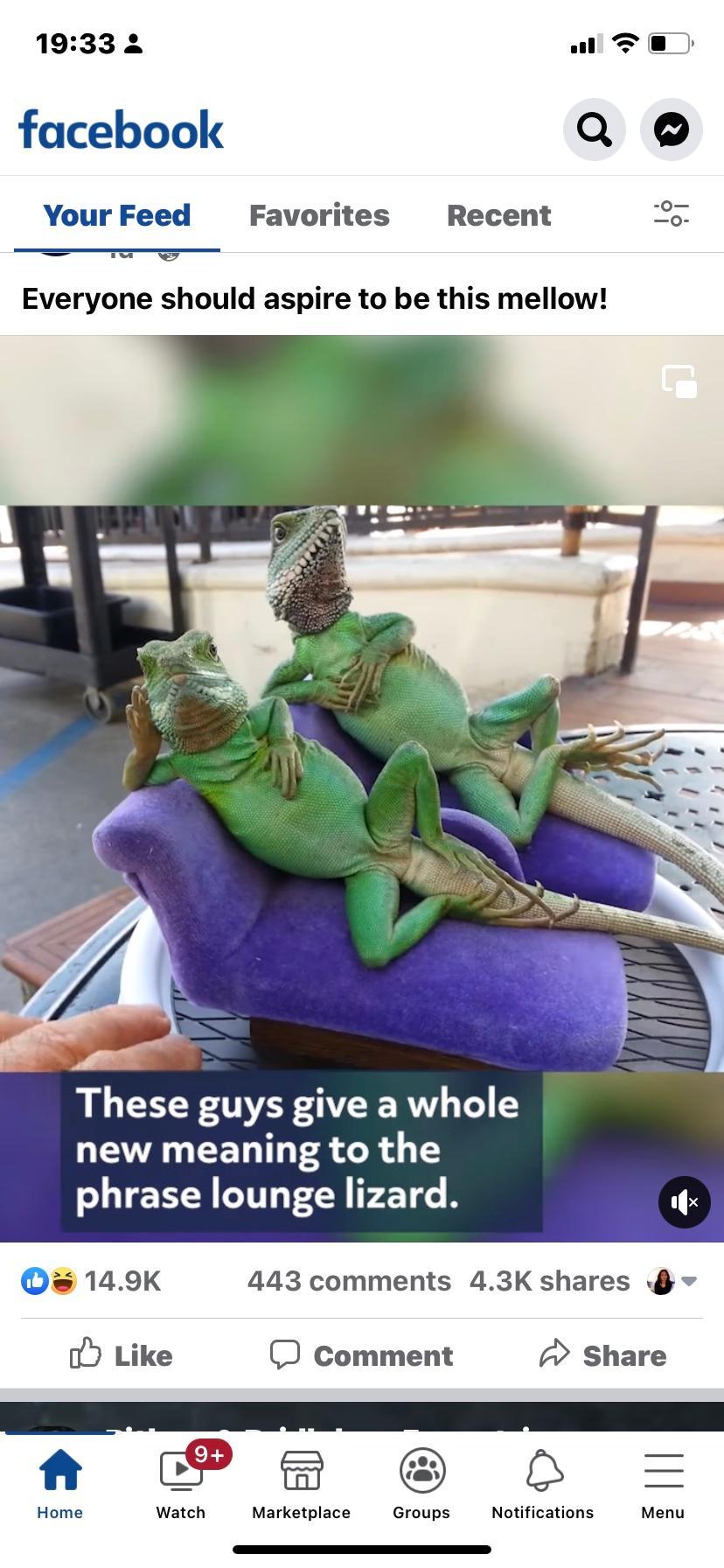 user avatar