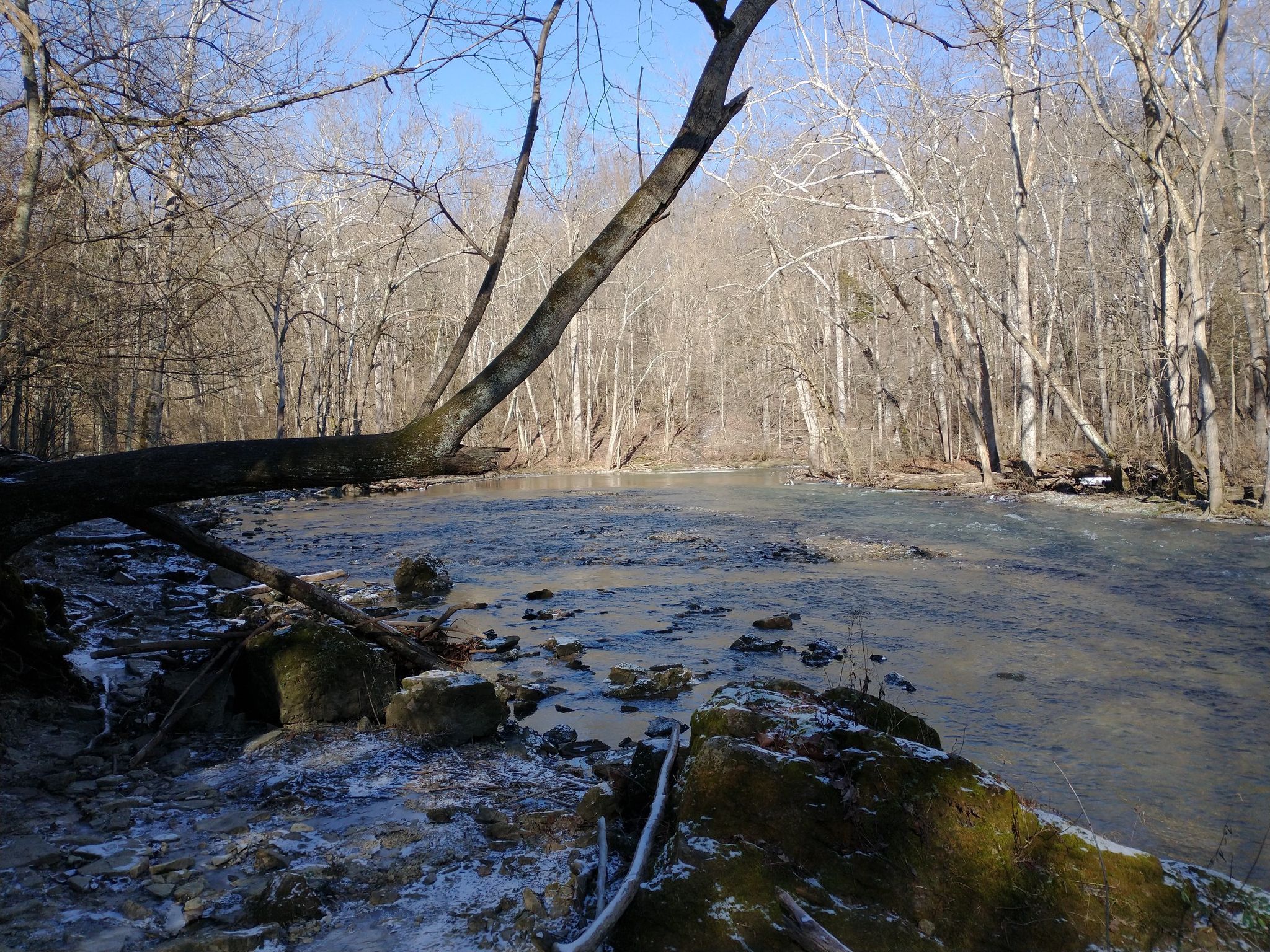 A clear river flows through a bare winter forest under bright skies. - Furnace Trail